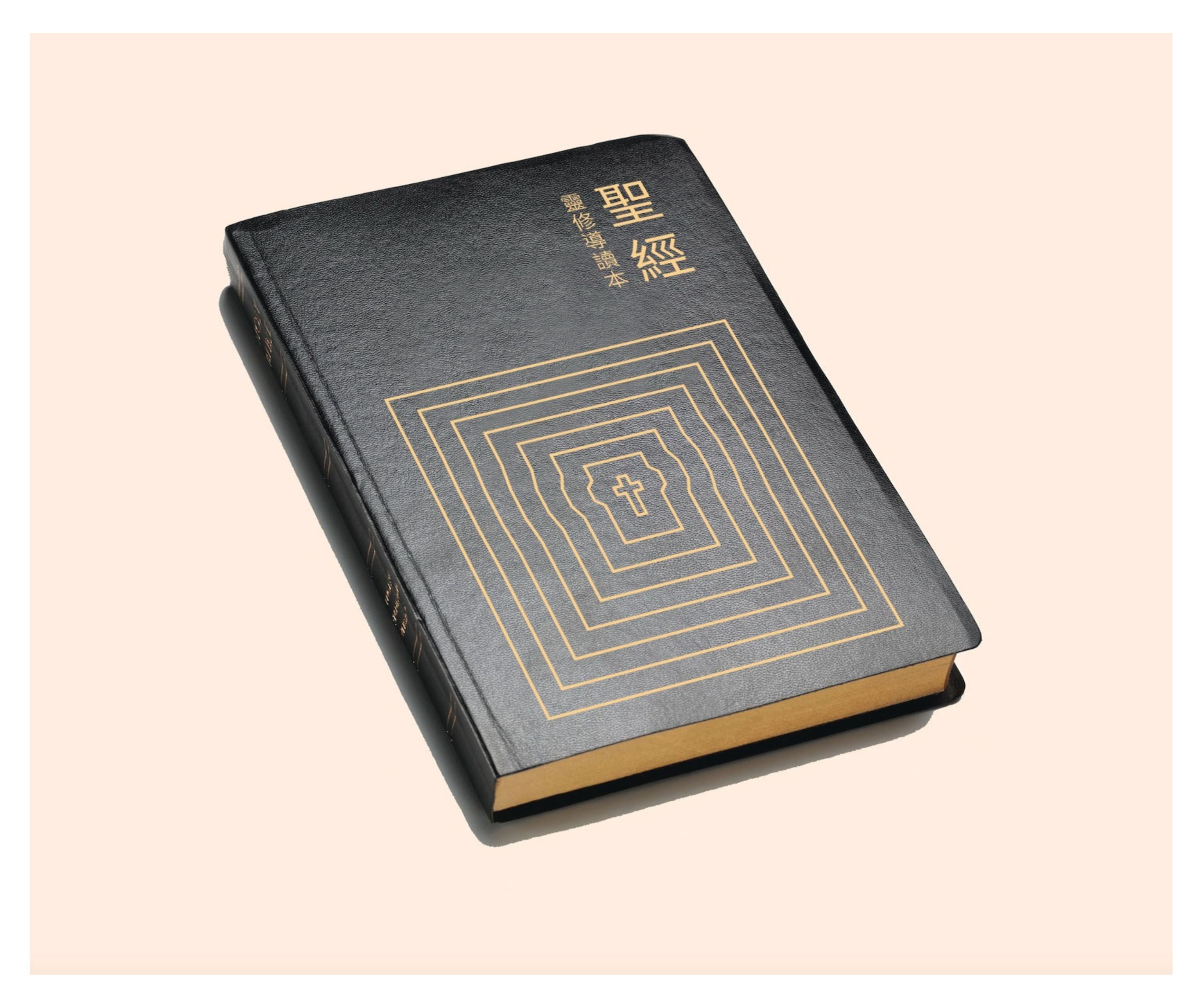 聖經靈修導讀本-繁體(限時免運費-購12本1箱大特價$50) AFC Devotional Study Bible Trad.