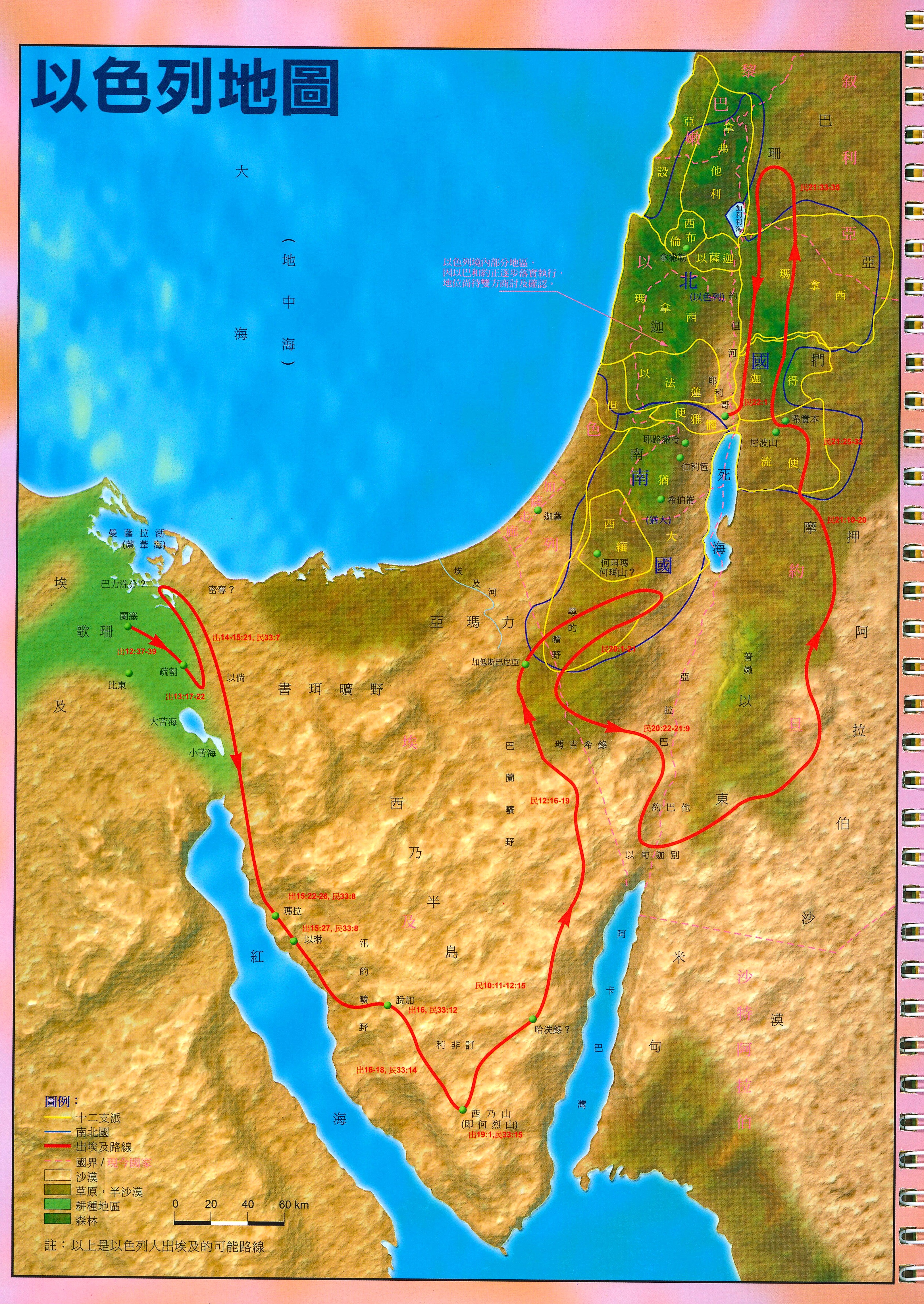 聖經一紙通-繁體((繁簡英任選10本以上特價$17) One Easy Page Trad.