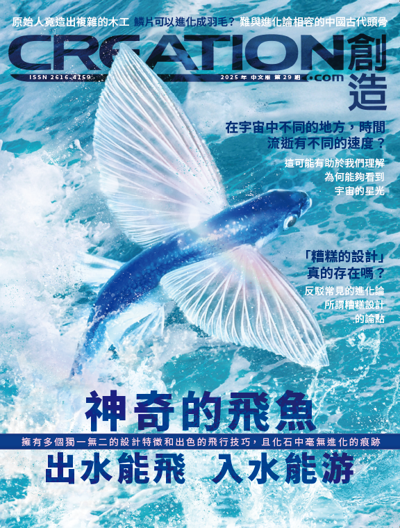 訂閱創造雜誌 2026(季刊) Creation Magazine 2026 Annual Subscription - 4 issues