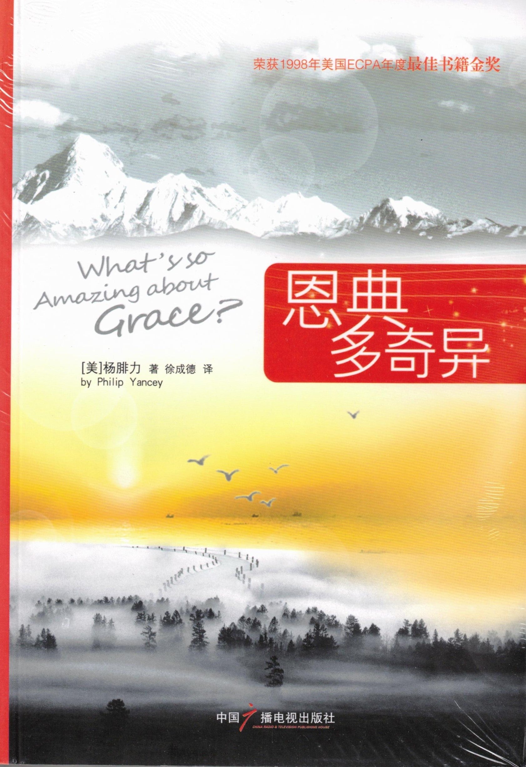 恩典多奇異 (簡) What's so Amazing about Grace?