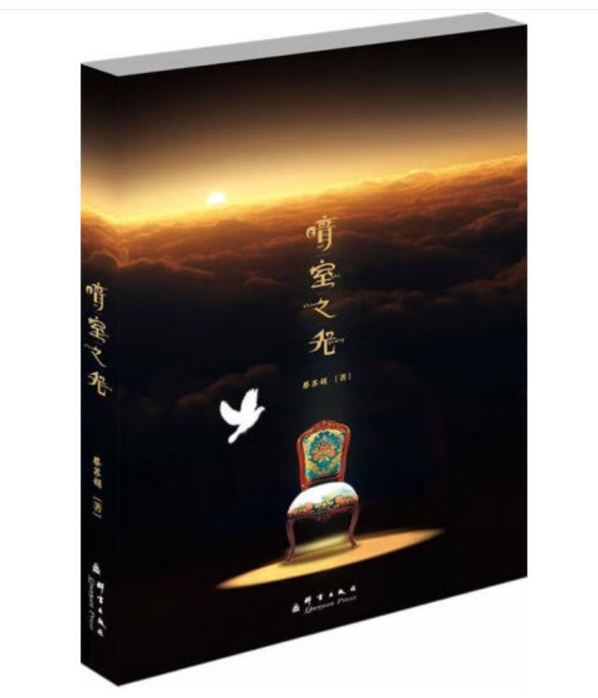 暗室之光(暗室之后-簡體版)(限時免運費10本以上特價$10)  Light in the Dark Chamber (Simplified Chinese Version)