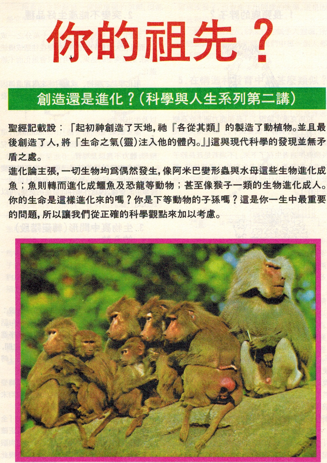 你的祖先 (繁) Creation or Evolution-Which? (Trad. Chin.)