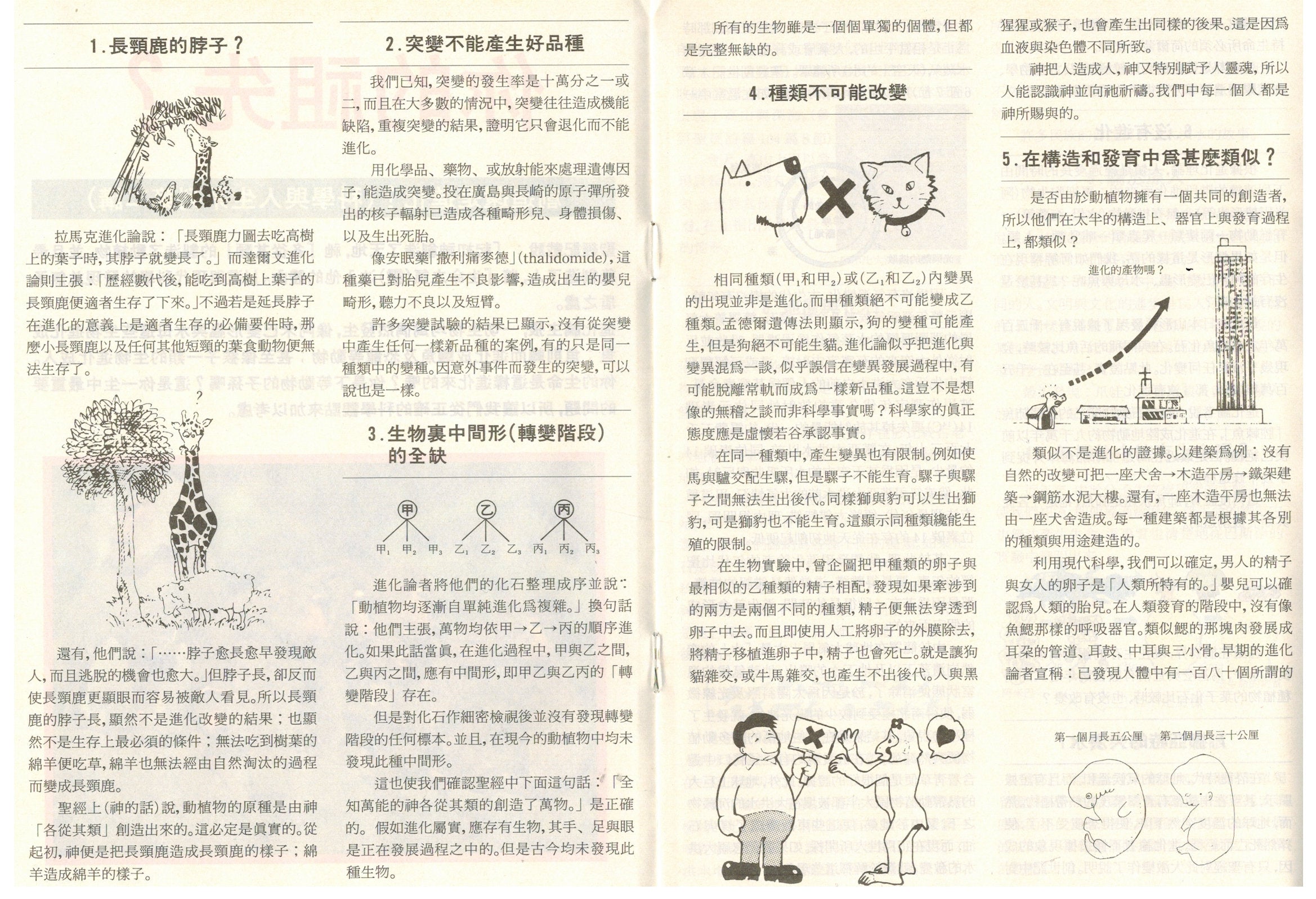你的祖先 (繁) Creation or Evolution-Which? (Trad. Chin.)