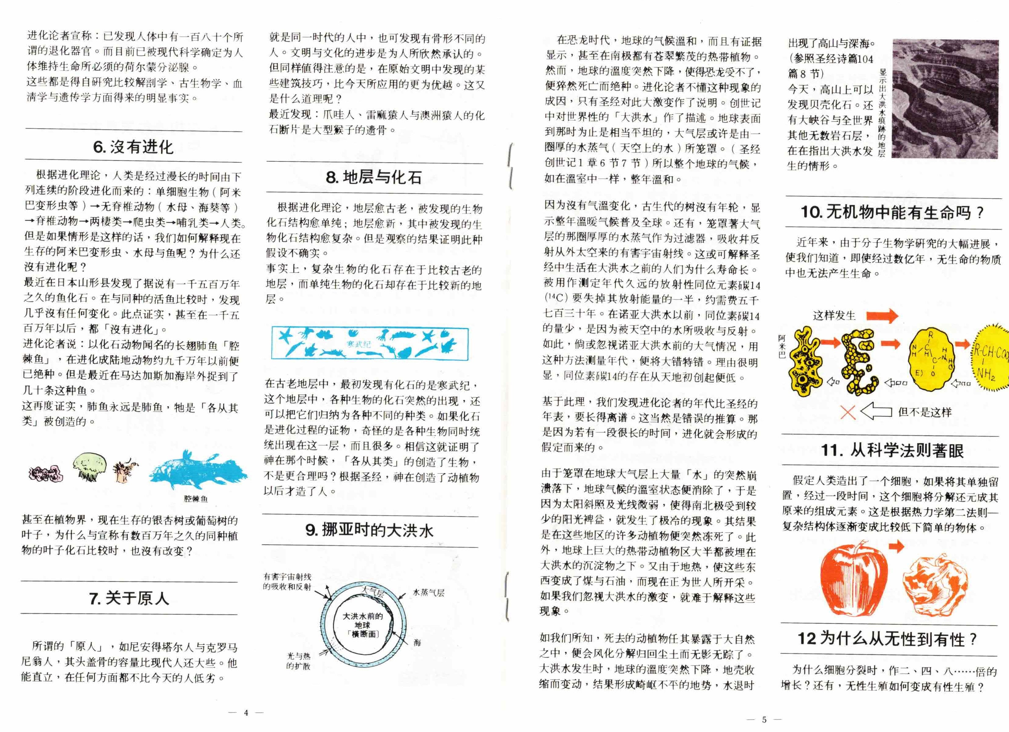 你的祖先 (簡) Creation or Evolution-Which? (simpl. Chin.)