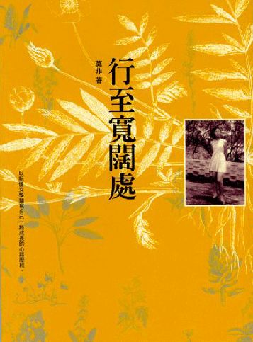 行至寬闊處 -- From the Street