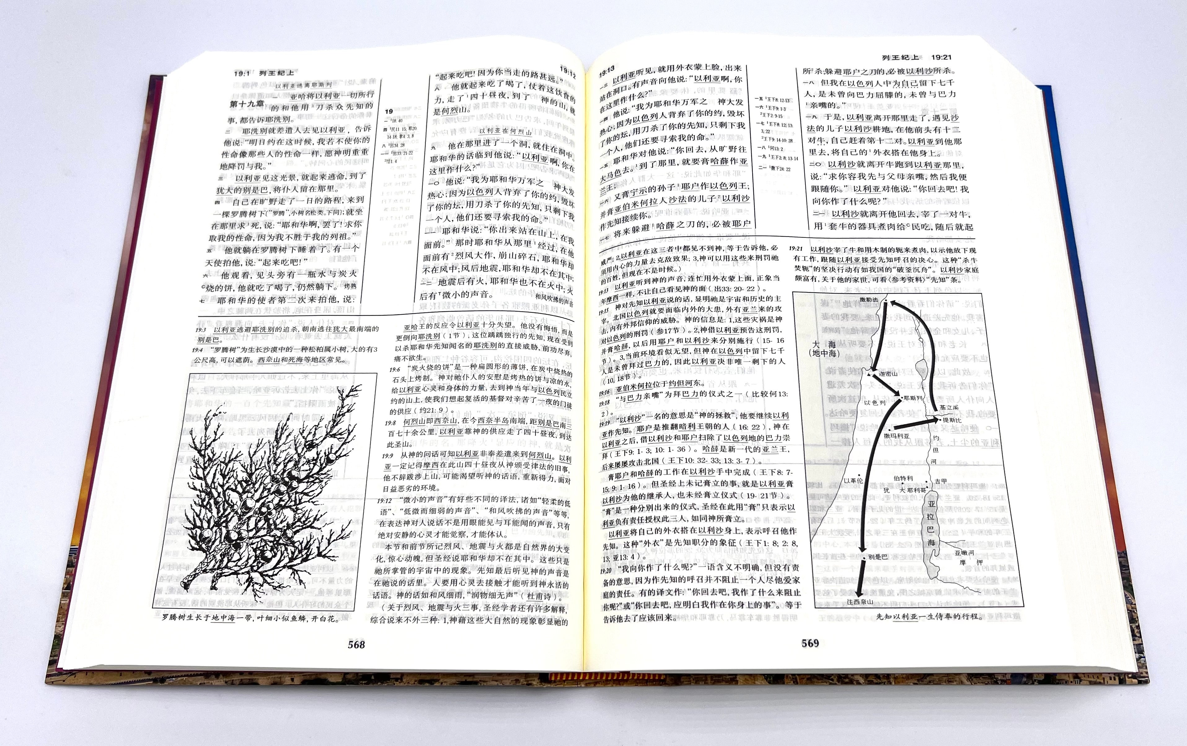 聖經啟導本-簡體(12本1箱以上特價$55) Chinese Study Bible Hardcover Simp