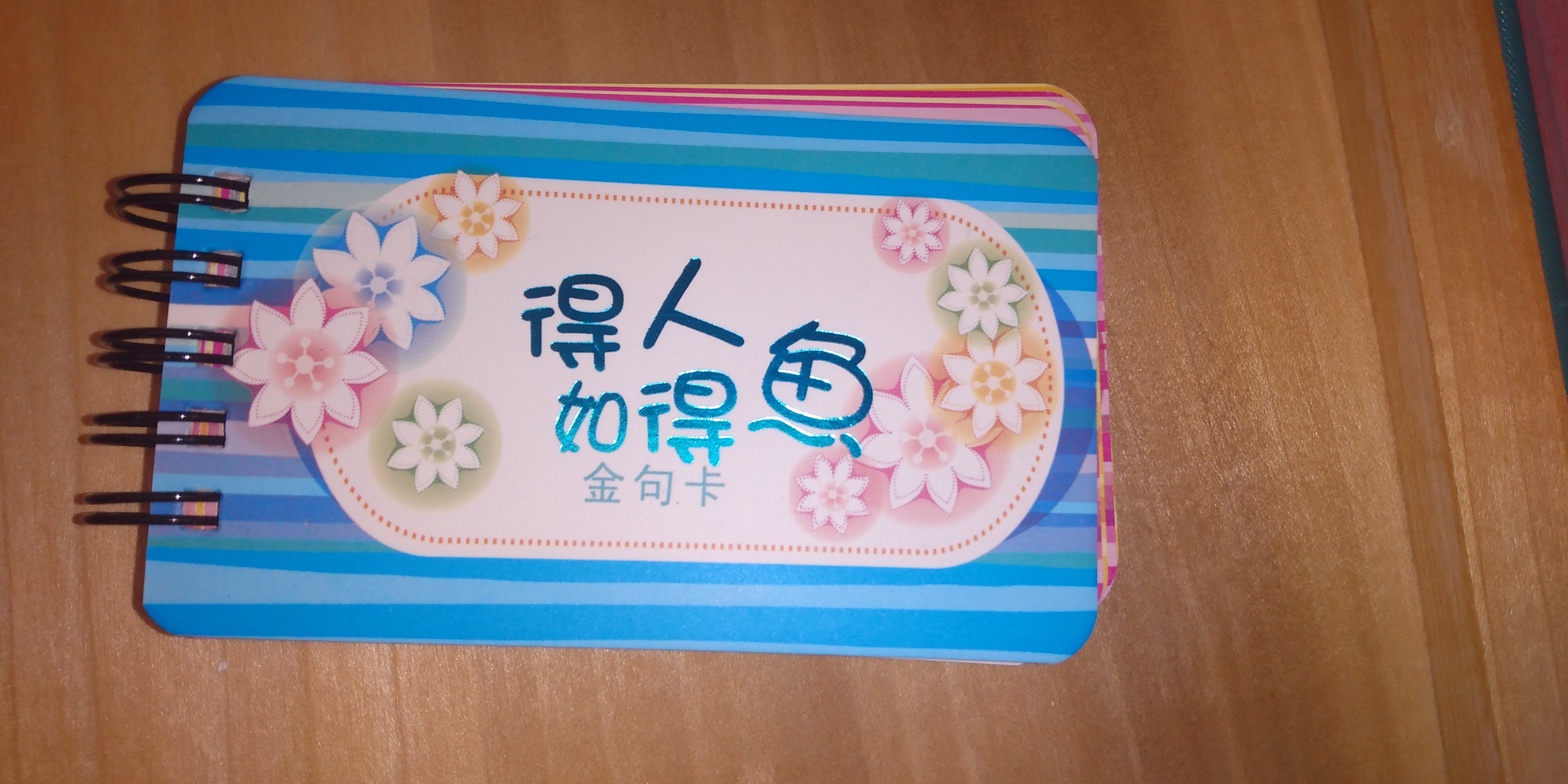 中文經句卡-得人如魚 Chinese only Bible verse cards - Fishers of Men