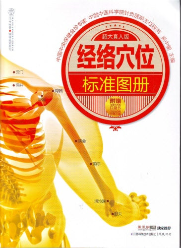 經絡穴位標準圖冊(簡)