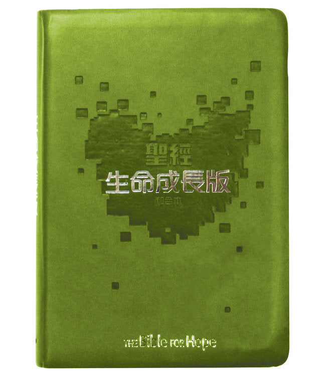 聖經-生命成長版-皮面(繁體) (10本以上特价$45) The Bible for Hope - Union Version