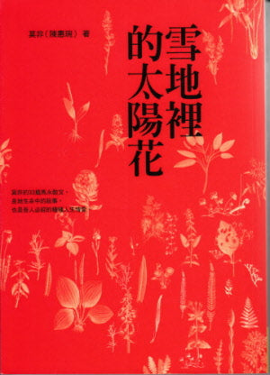雪地裡的太陽花 -- Snow Sun Flower