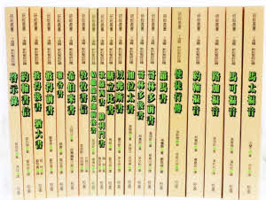 丁道爾聖經註釋-新約全套20本 -- Tyndale New Testament Commentaries 20 Vols free shipping by 8-16