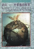 天問: 對苦難的反思(簡) Questions for Heaven – Contemplation of Suffering - Ambassadors for Christ Bookstore