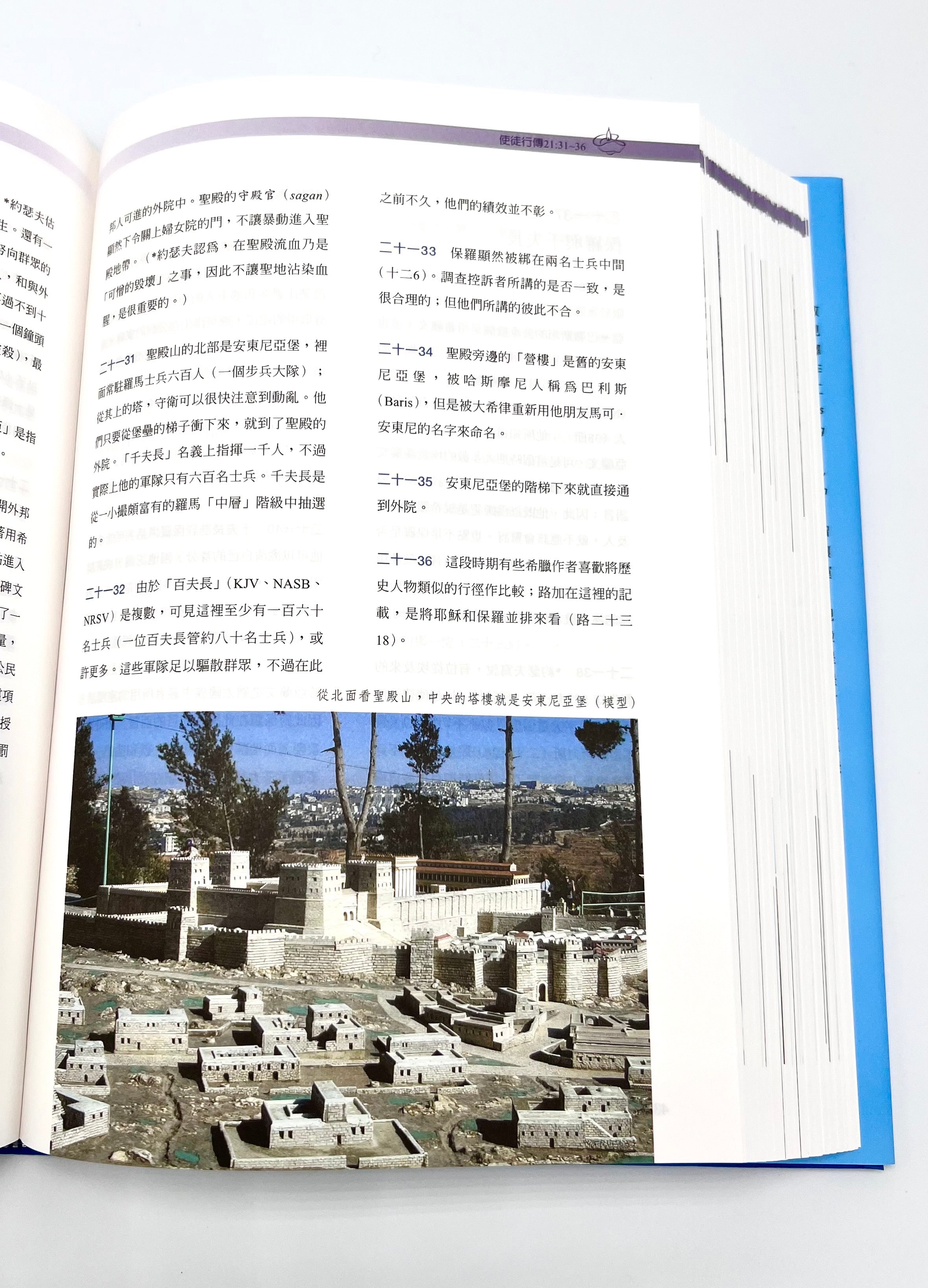 新舊約聖經背景註釋-新版繁體(全套2大本） The IVP Bible Background Commentary OT/NT one set