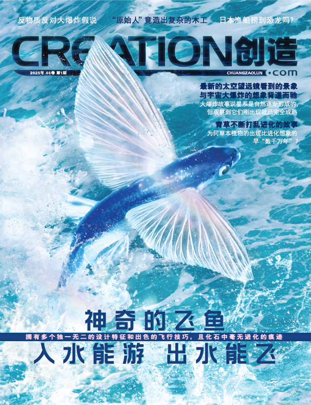 续订創造雜誌（季刊）Creation Magazine Renewal 2026 - Ambassadors for Christ Bookstore