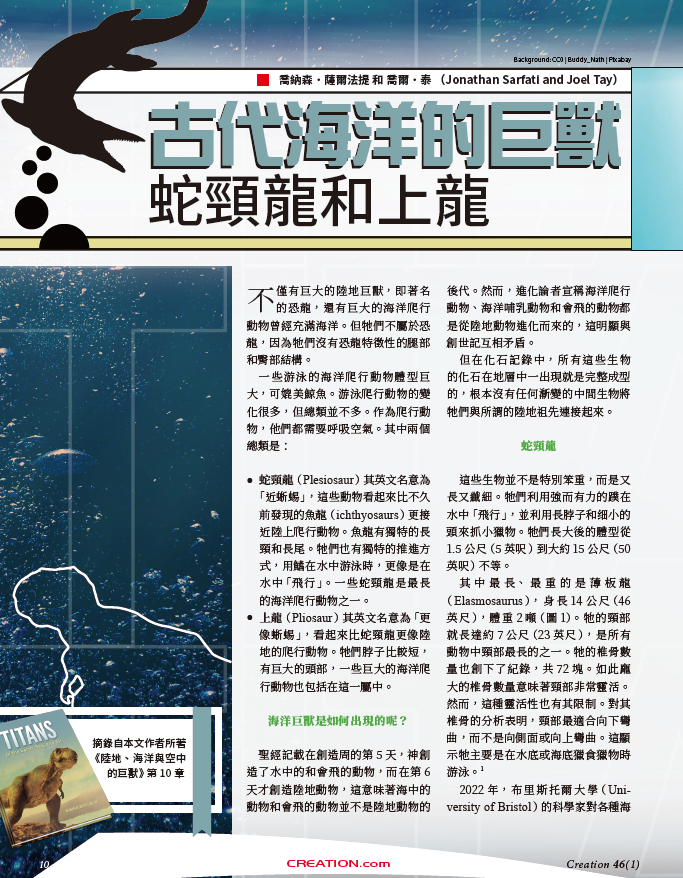 訂閱創造雜誌 2026（季刊） Creation Magazine 2026 Annual Subscription - 4 issues
