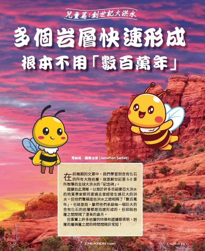 訂閱創造雜誌 2026（季刊） Creation Magazine 2026 Annual Subscription - 4 issues