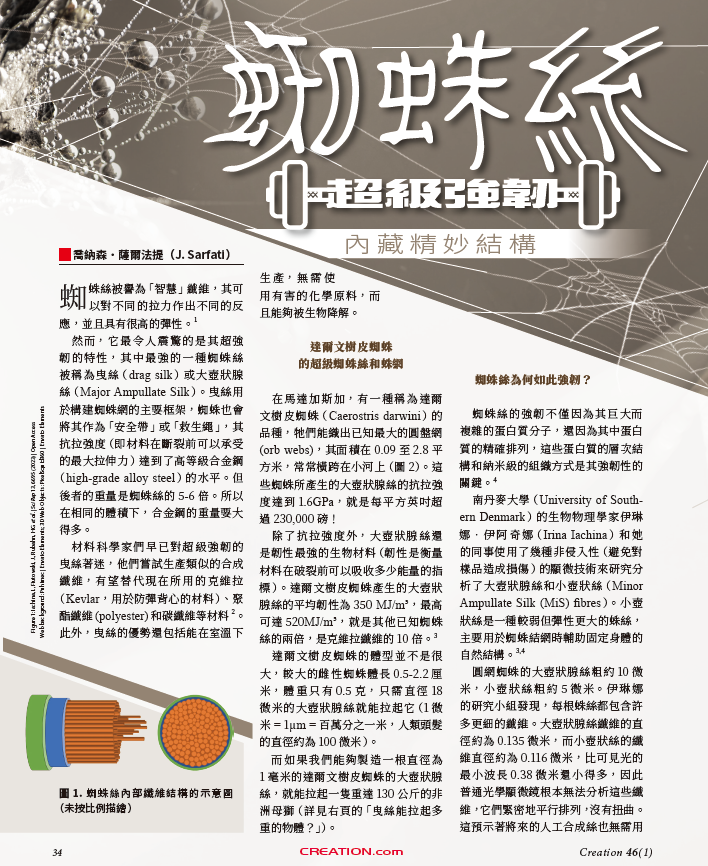 訂閱創造雜誌 2026（季刊） Creation Magazine 2026 Annual Subscription - 4 issues