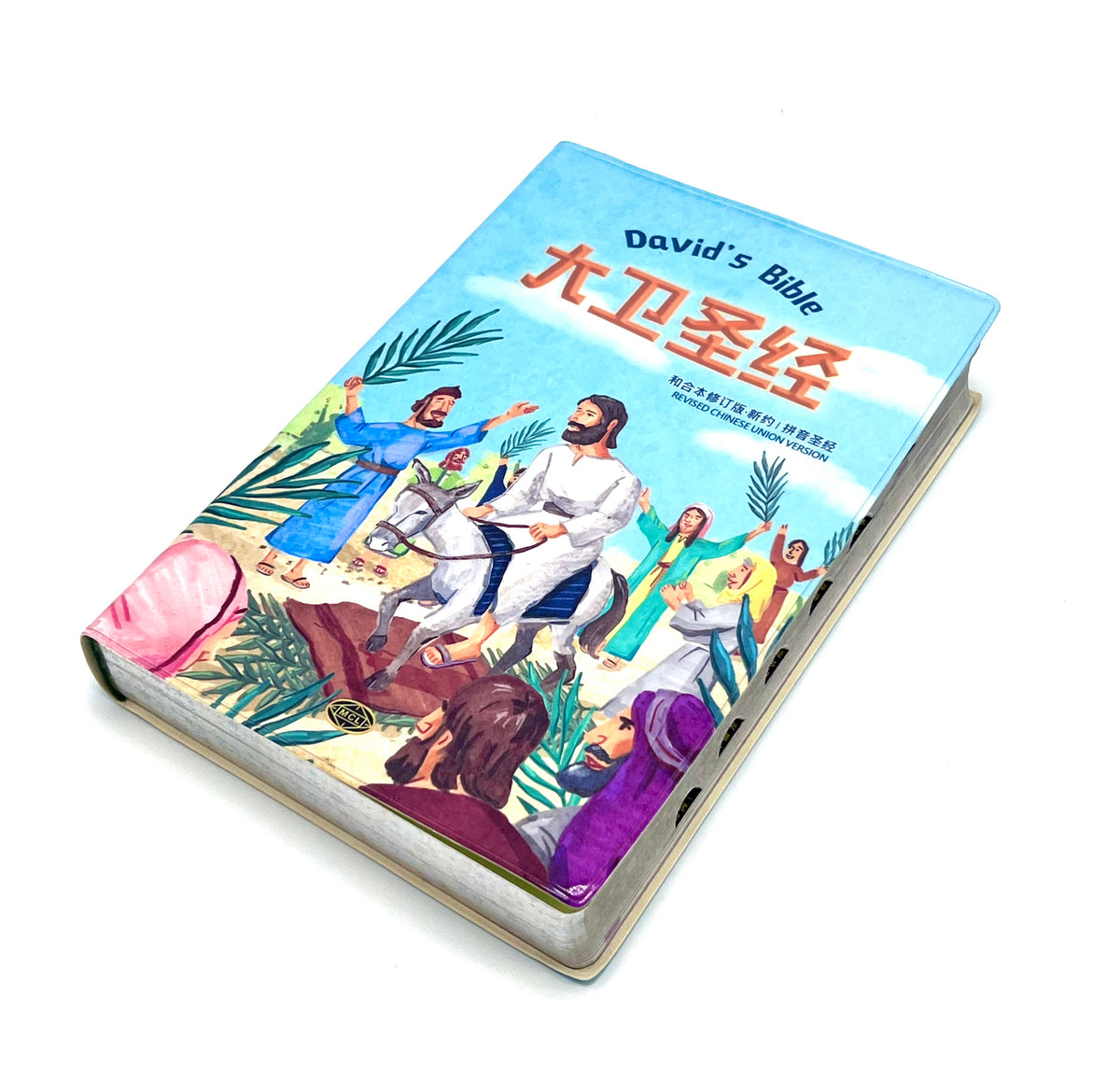 大卫圣经-彩印新约简体拼音圣经-银边拇指索引 （限时免运费+10本以上特价$45)David's Bible RCUV NT Pinyin Bible
