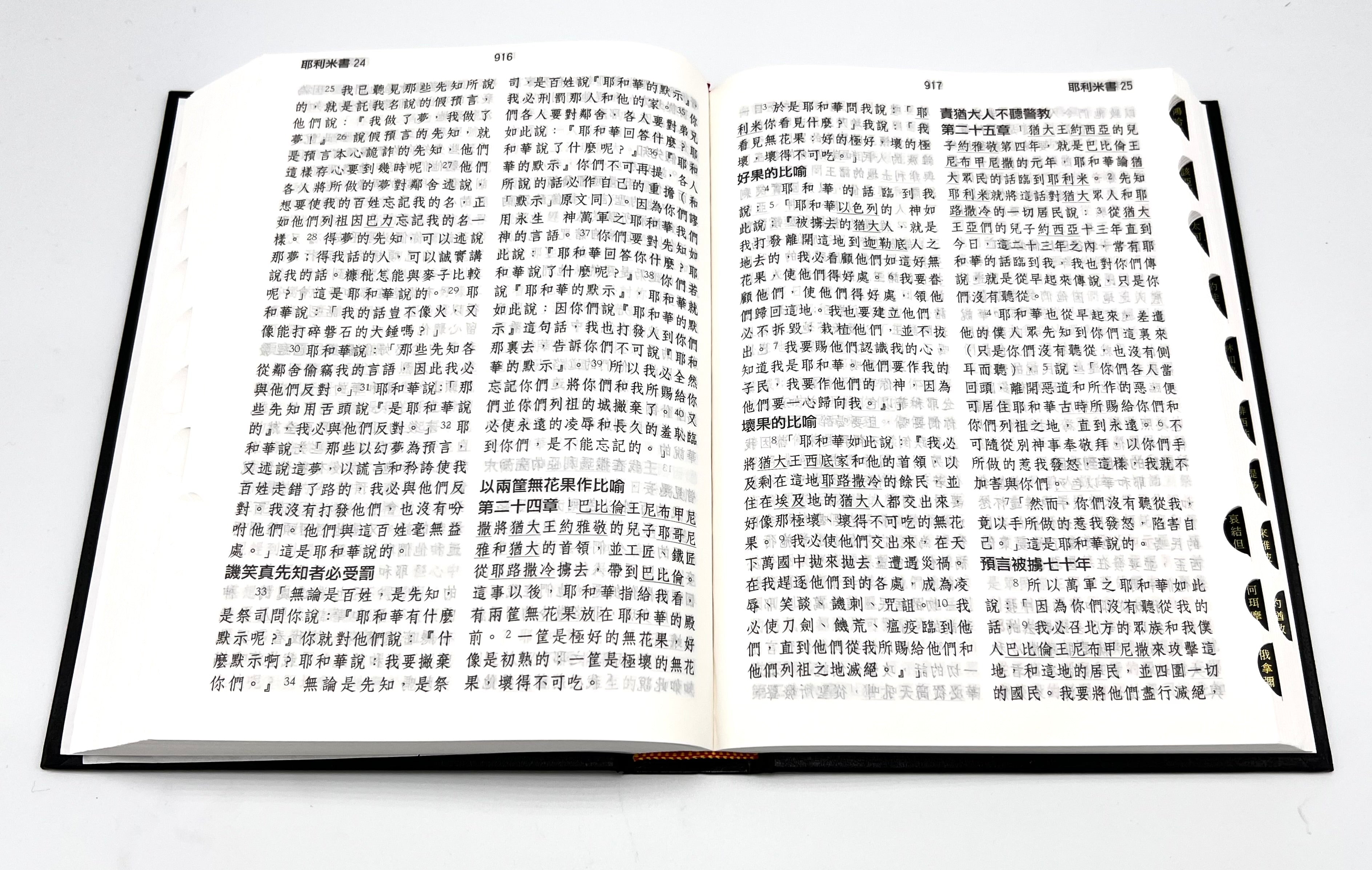 特大字版聖經-拇指索引-硬面繁體-超薄不厚重（限時免運費+12本1箱以上特價$35) AFC Extra Large Bible-HC-Trad.