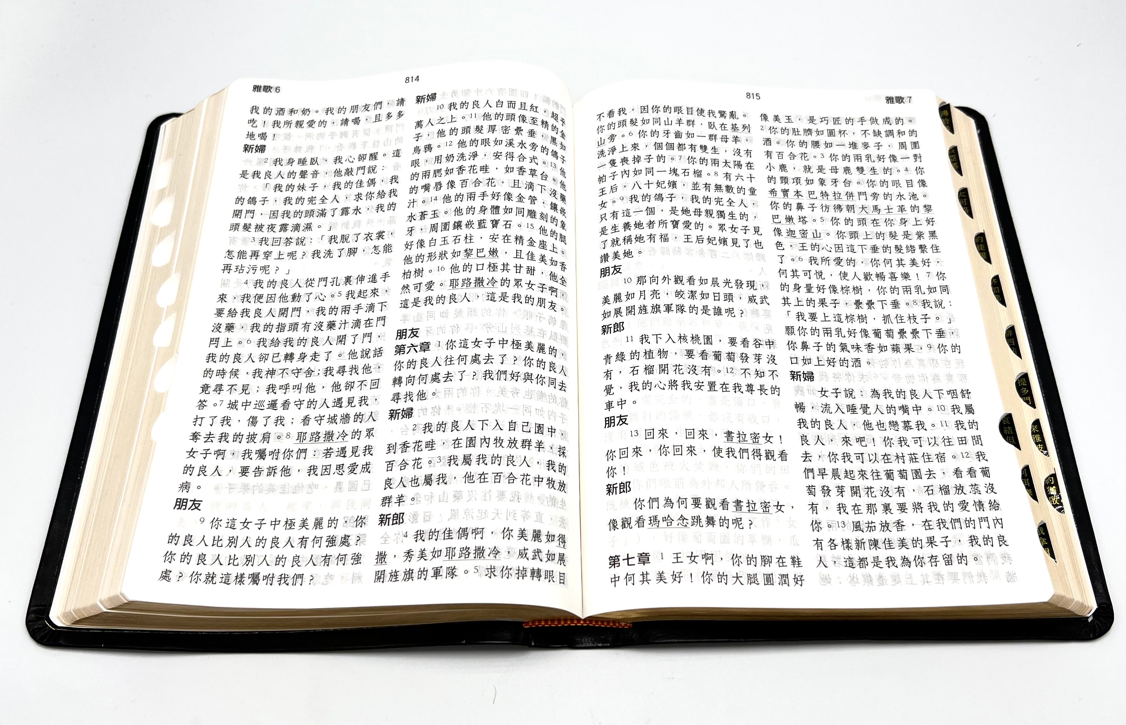 書込、背折れ、8ページ分切抜欠損あり命理経典名著 天星斗數秘笈 文源書局 中国語 Amazon.com: 聖書 新改訳2017 中型スタンダード版 引照・注付 NBI-20