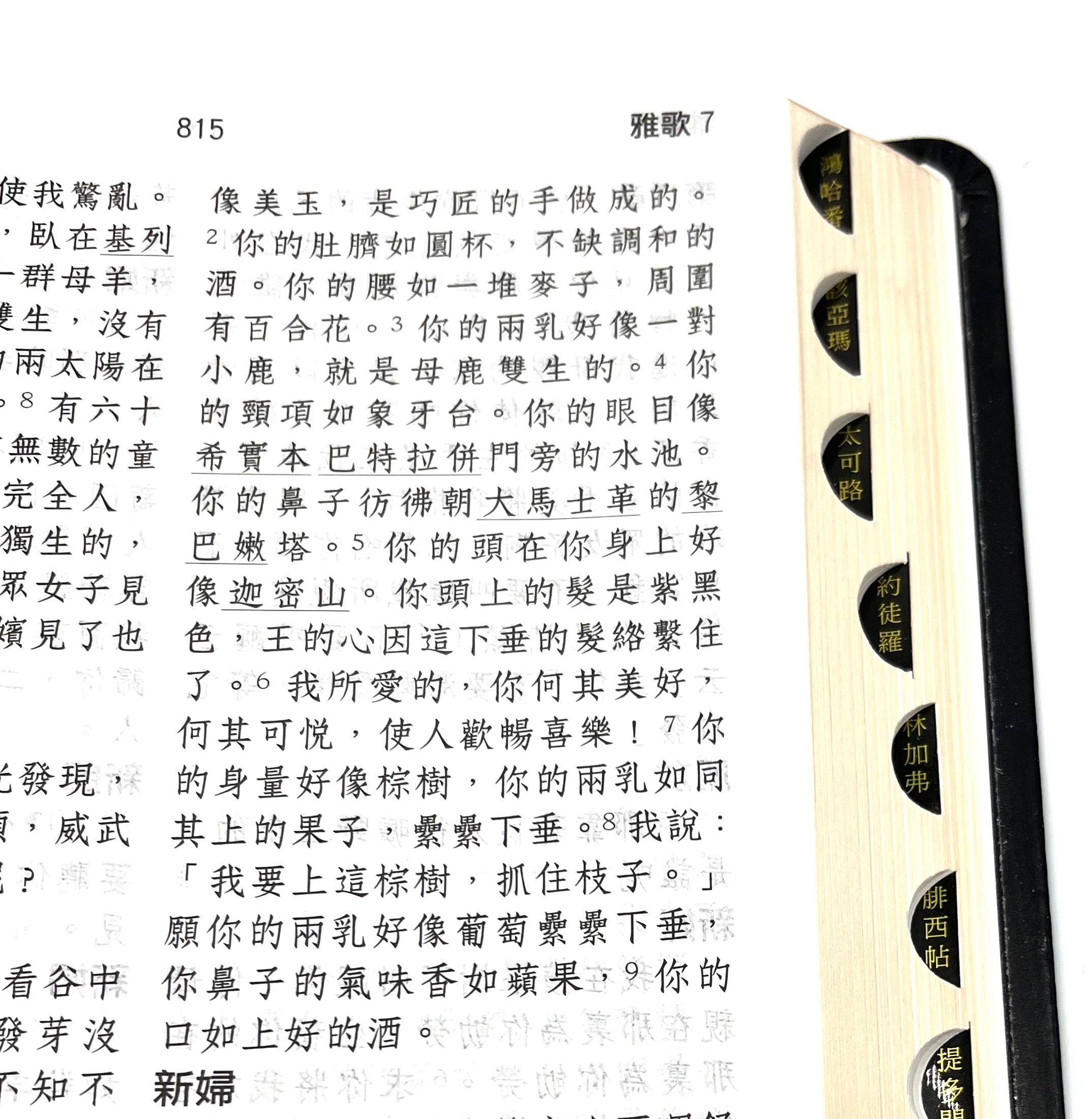 特大字版聖經-拇指索引-皮面金邊-繁體-超薄不厚重（12本1箱以上特價$45