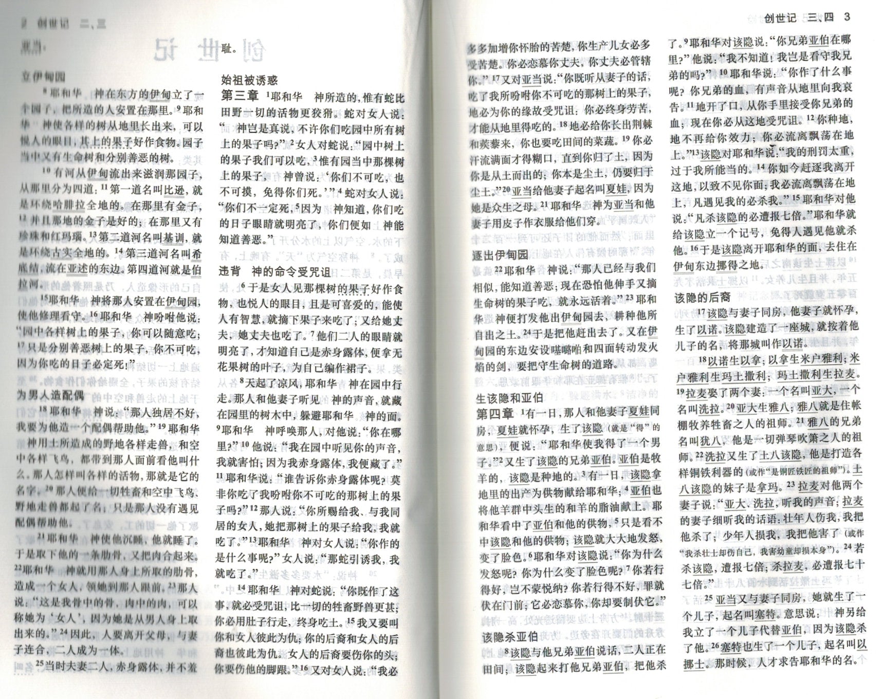 和合本聖經-棗紅色封面（簡）Burgundy Bible (CUV)-medium size - Ambassadors for Christ Bookstore