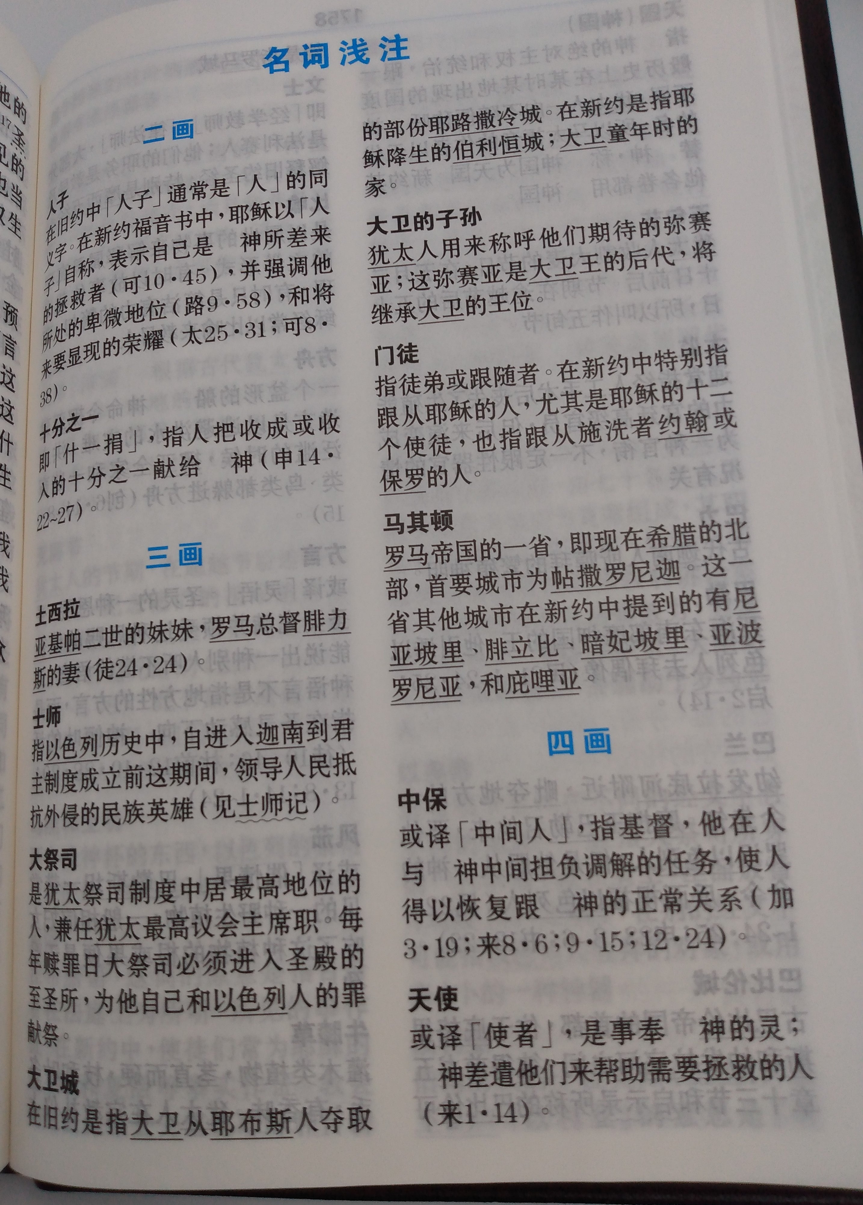 CUV特大字版中文聖經（簡體）CUV Extra Large Print Bible ( Vinyl - simpl.)