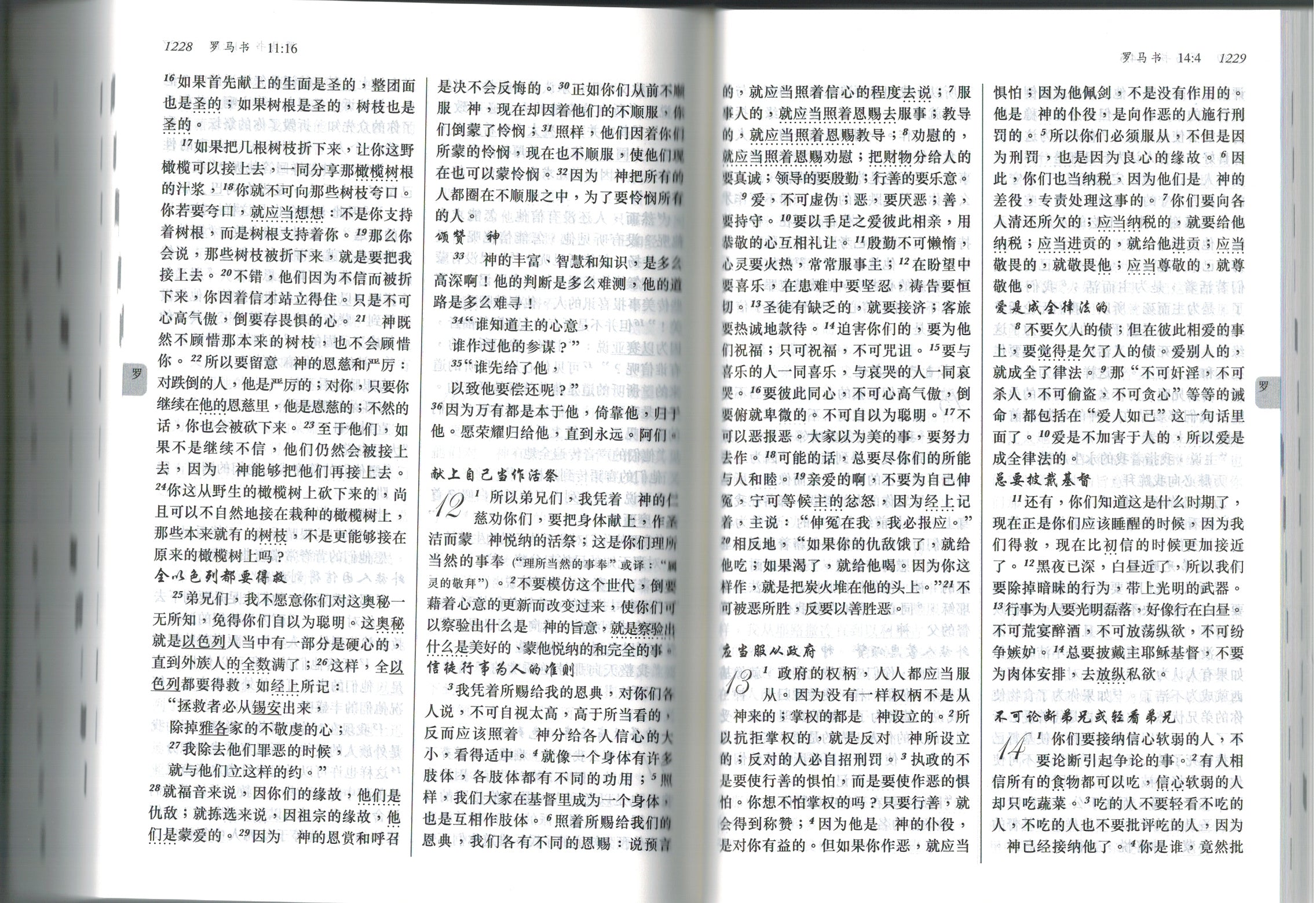 聖經-新譯本 (簡)    Chinese New Version Bible - white paperback
