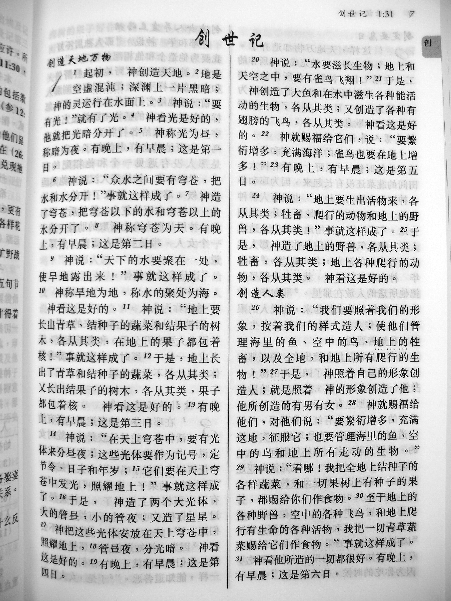 聖經-新譯本 (簡)    Chinese New Version Bible - white paperback