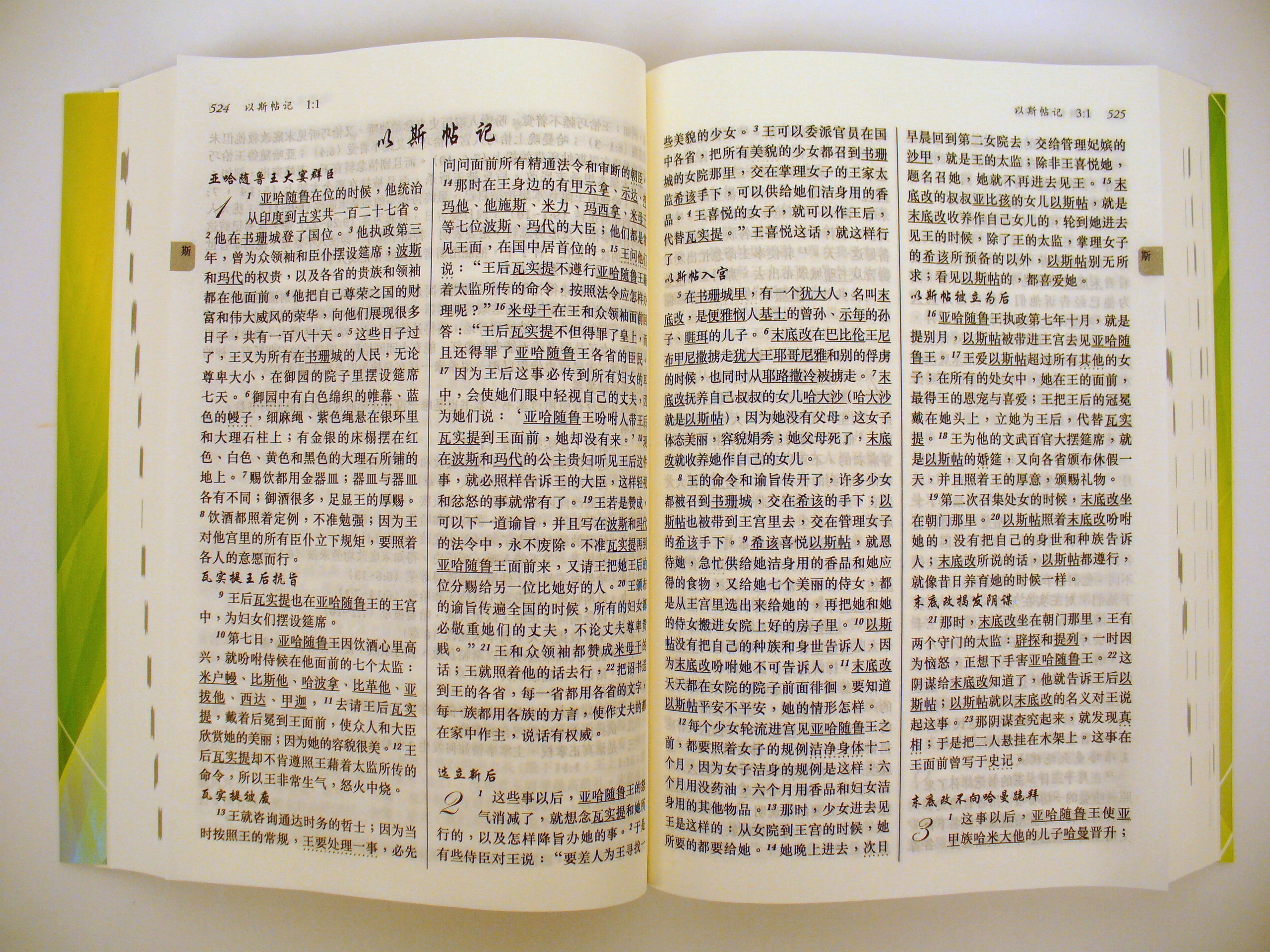 聖經-新譯本 (簡)    Chinese New Version Bible - white paperback