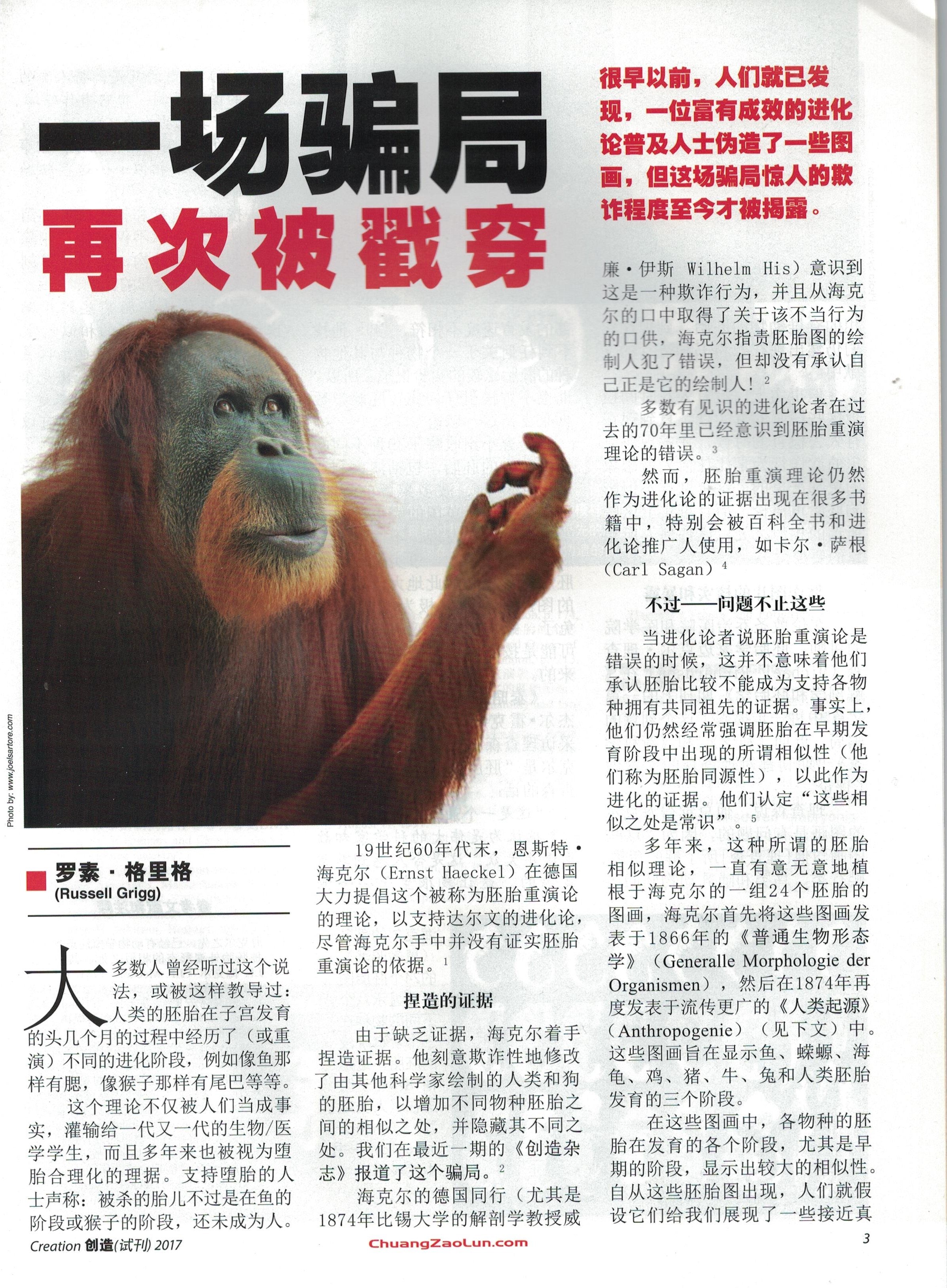 創造論雜誌-試讀版-簡體  Creation Magazine -Trial Issue