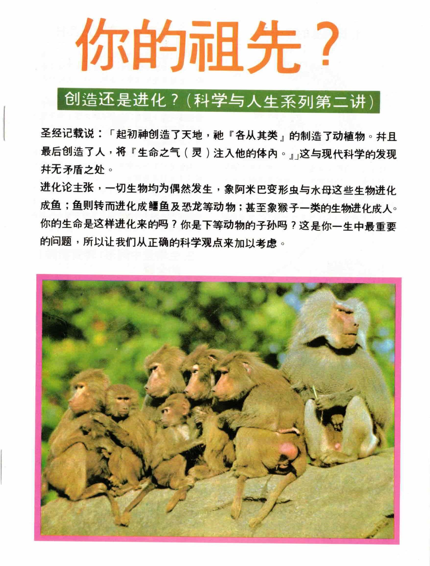你的祖先 (簡)  Creation or Evolution-Which? (simpl. Chin.)
