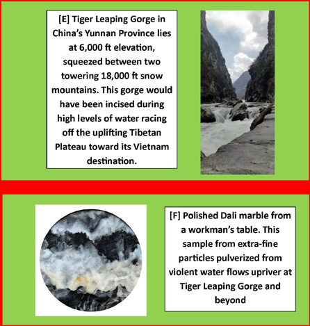 The Tiger Leaping Captured a River -(Simpl/Engl) - Ambassadors for Christ Bookstore