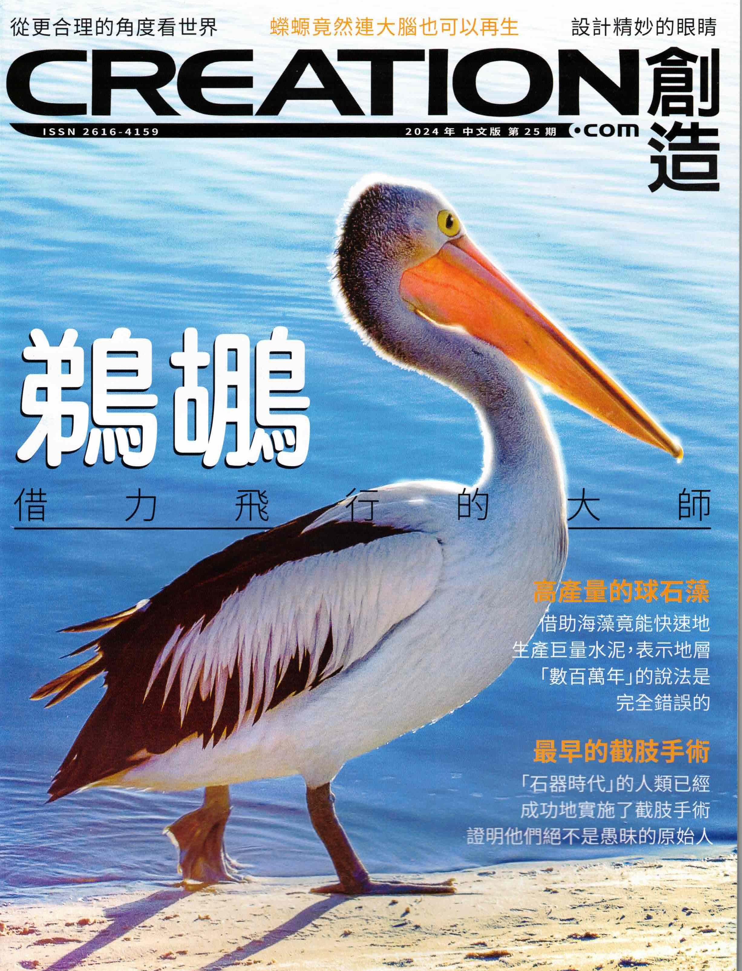 訂閱創造雜誌 2025（季刊） Creation Magazine 2025 Annual Subscription - 4 issues