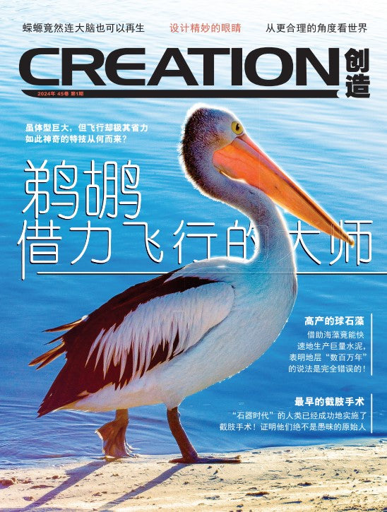 訂閱創造雜誌 2025（季刊） Creation Magazine 2025 Annual Subscription - 4 issues