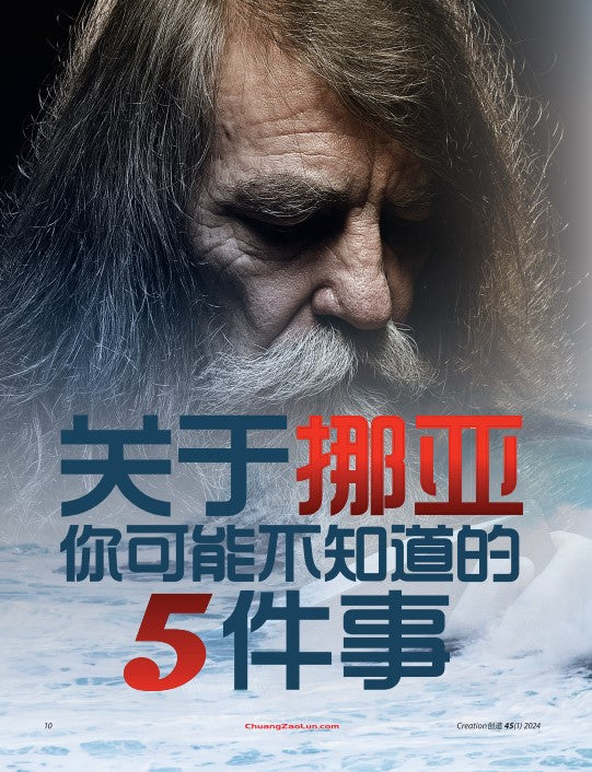 续订創造雜誌（季刊）Creation Magazine Renewal 2025