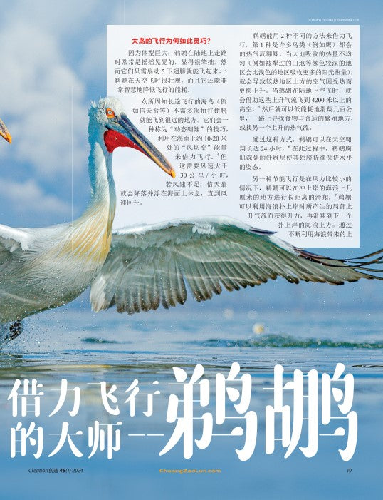 续订創造雜誌（季刊）Creation Magazine Renewal 2025