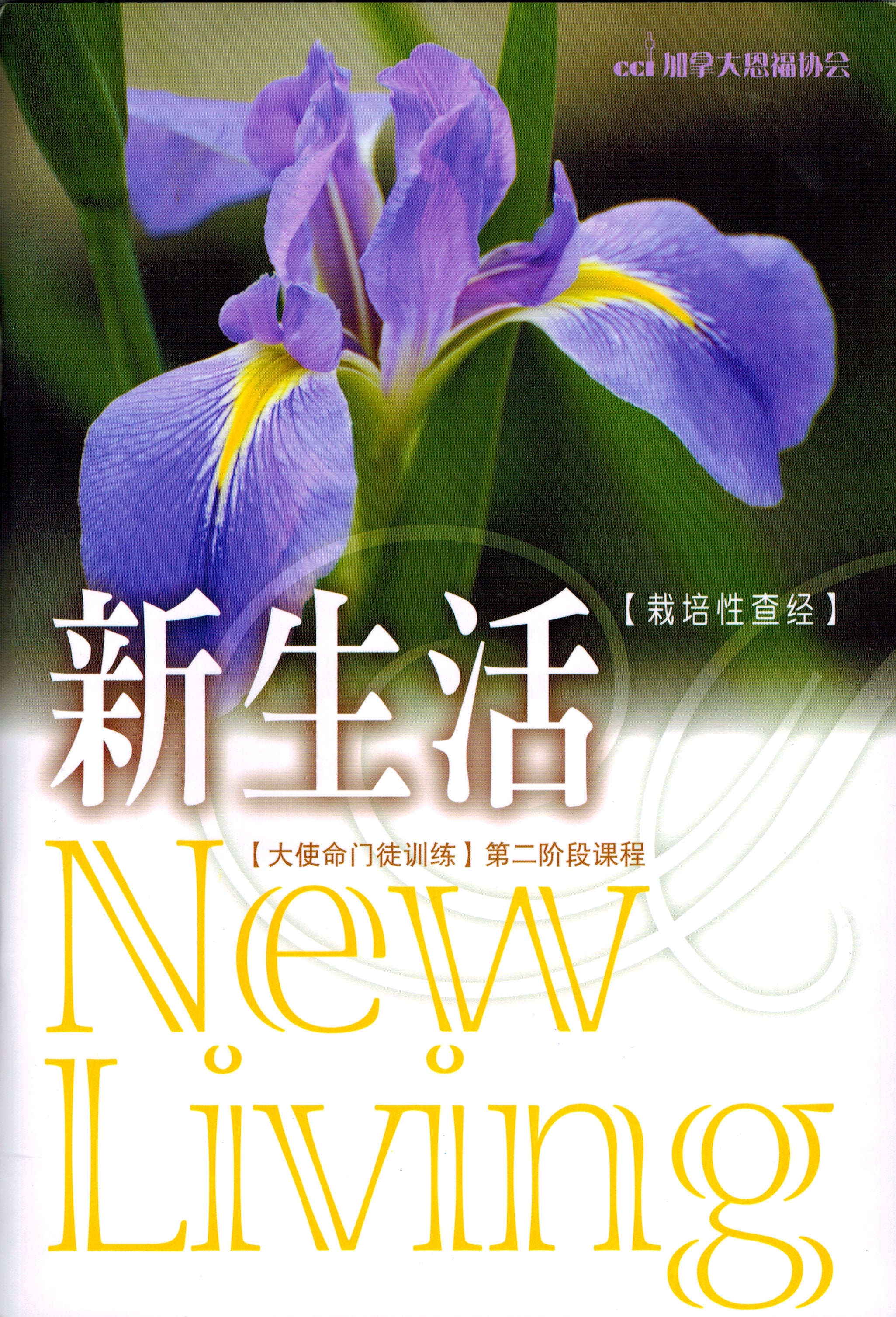 新生活 (簡) New Living - Ambassadors for Christ Bookstore