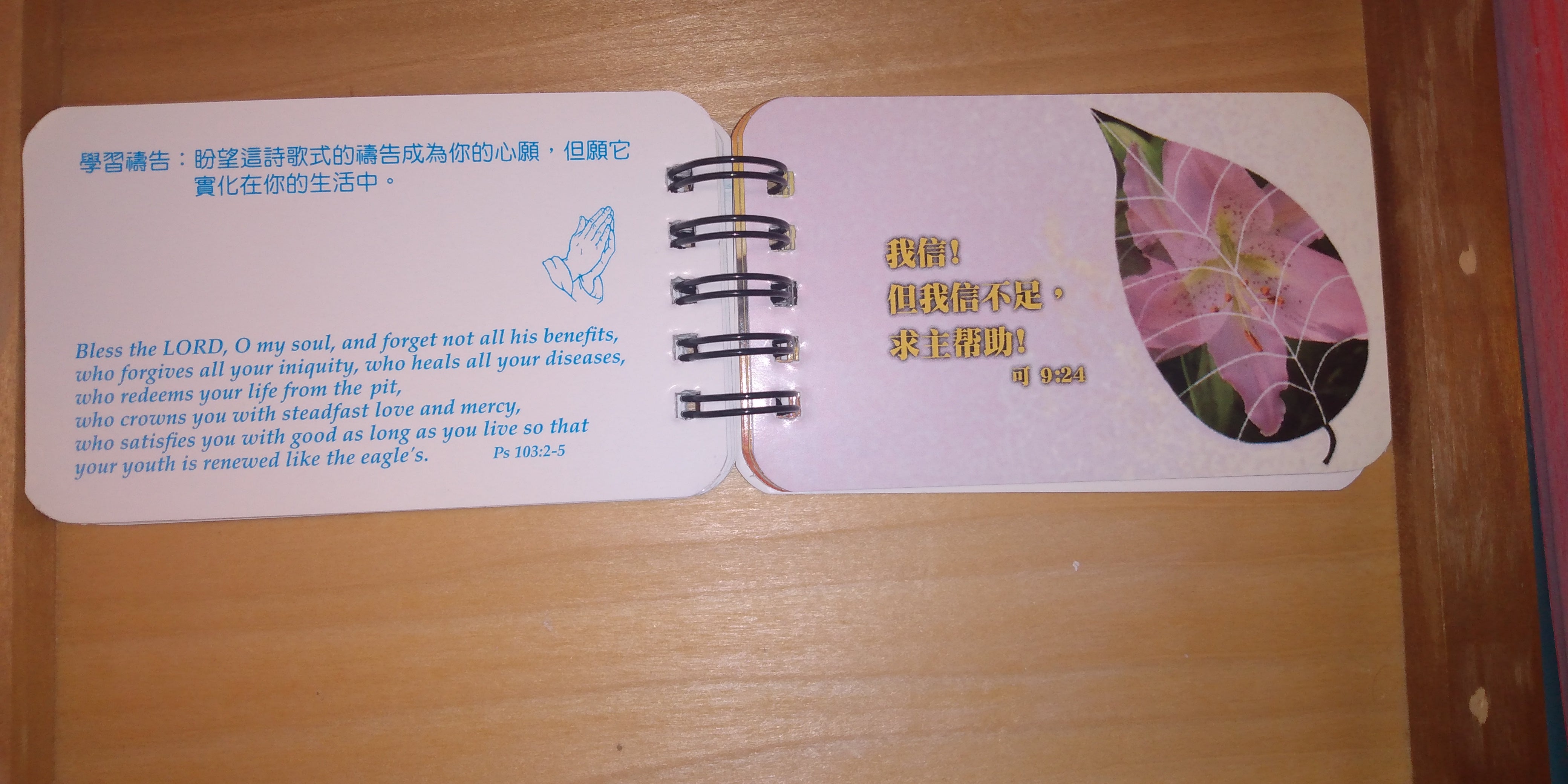 中英文經句卡 - 凡事禱告 Bilingual Bible verse cards - Pray without Ceasing