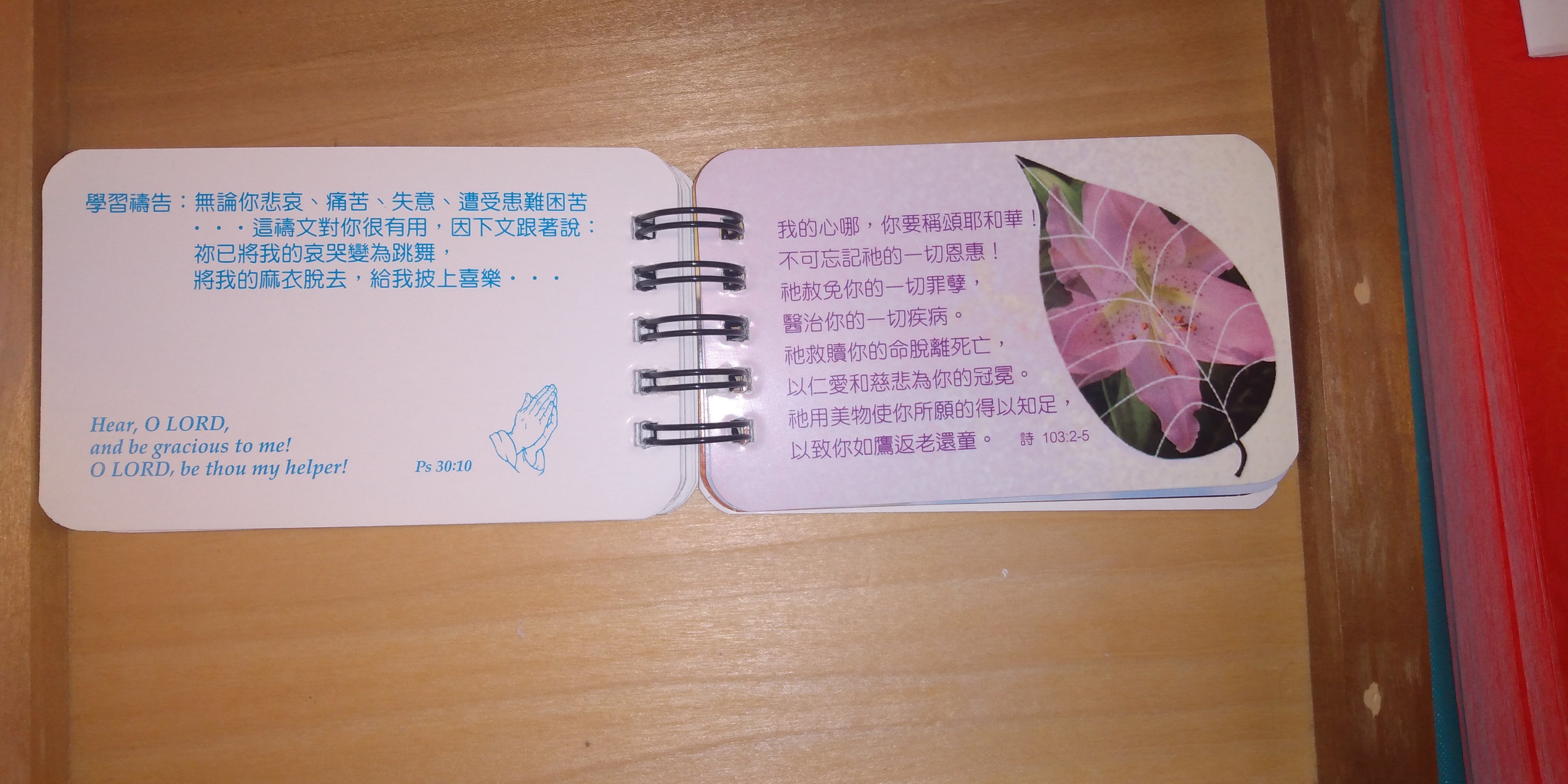 中英文經句卡 - 凡事禱告 Bilingual Bible verse cards - Pray without Ceasing