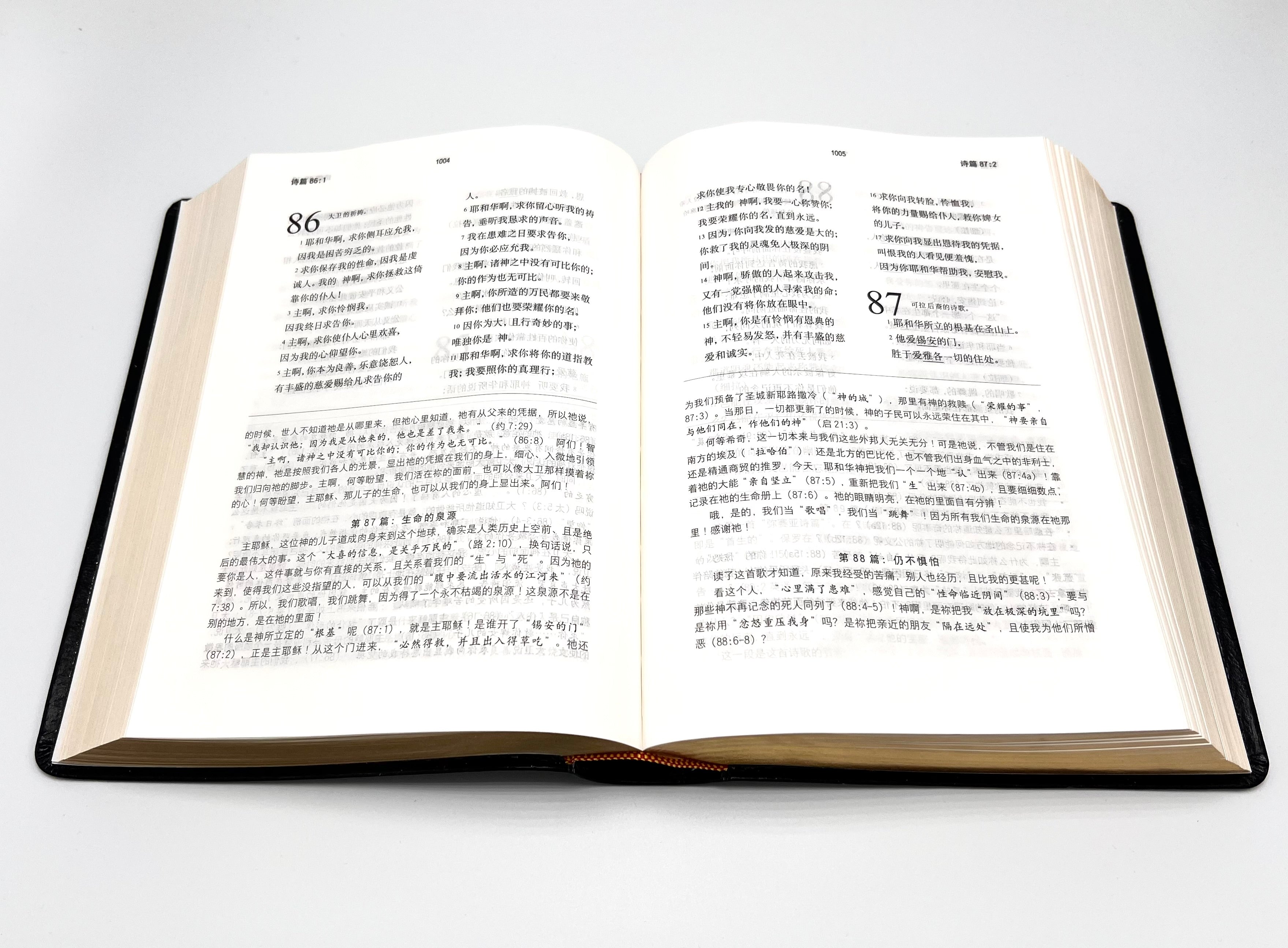 圣经灵修导读本-皮面金边-简体 (预购免运费12月底到货+8本/箱以上特价$50) AFC Devotional Study Bible Simp