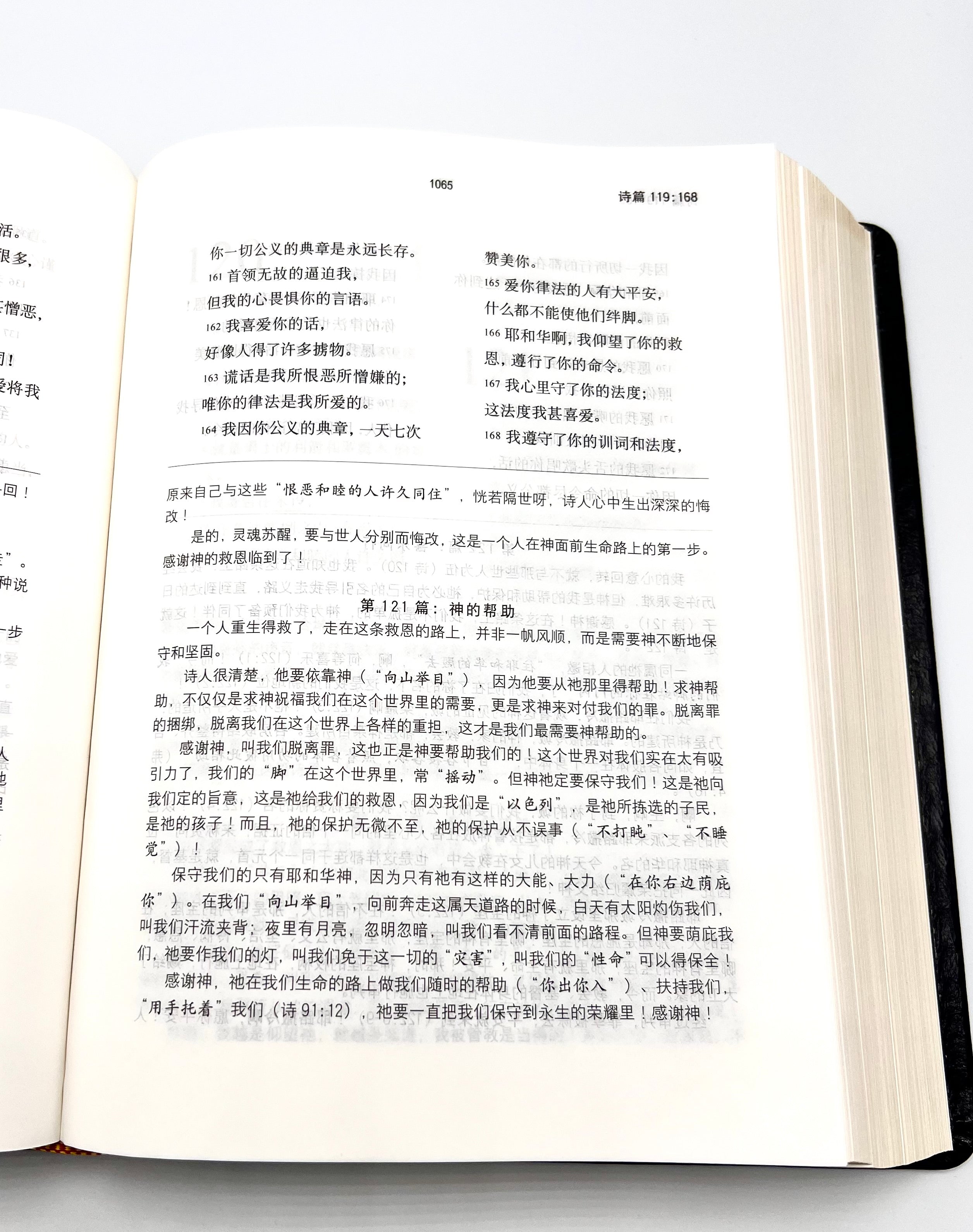 圣经灵修导读本-皮面金边-简体 (预购免运费12月底到货+8本/箱以上特价$50) AFC Devotional Study Bible Simp