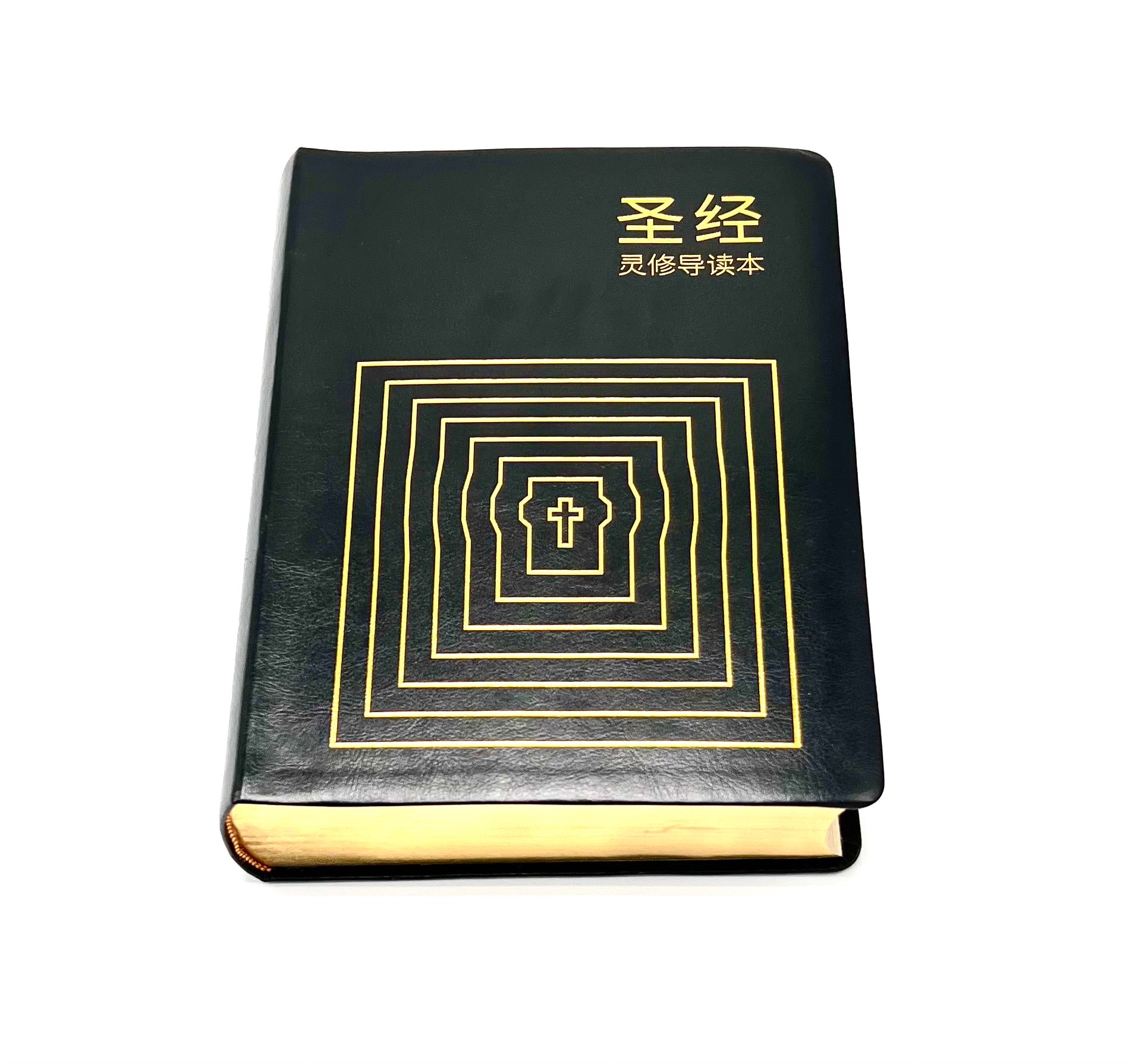 圣经灵修导读本-皮面金边-简体 (预购免运费12月底到货+8本/箱以上特价$50) AFC Devotional Study Bible Simp