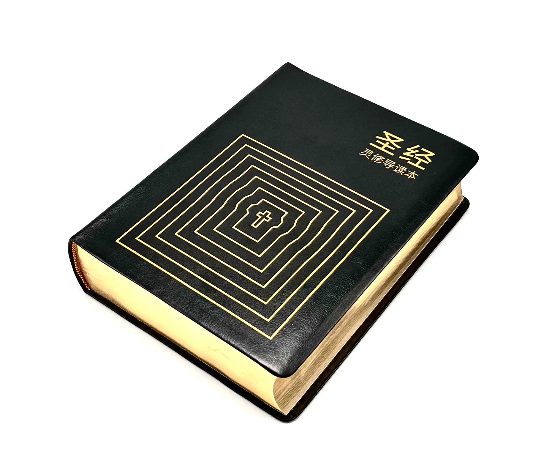 圣经灵修导读本-皮面金边-简体 (预购免运费12月底到货+8本/箱以上特价$50) AFC Devotional Study Bible Simp