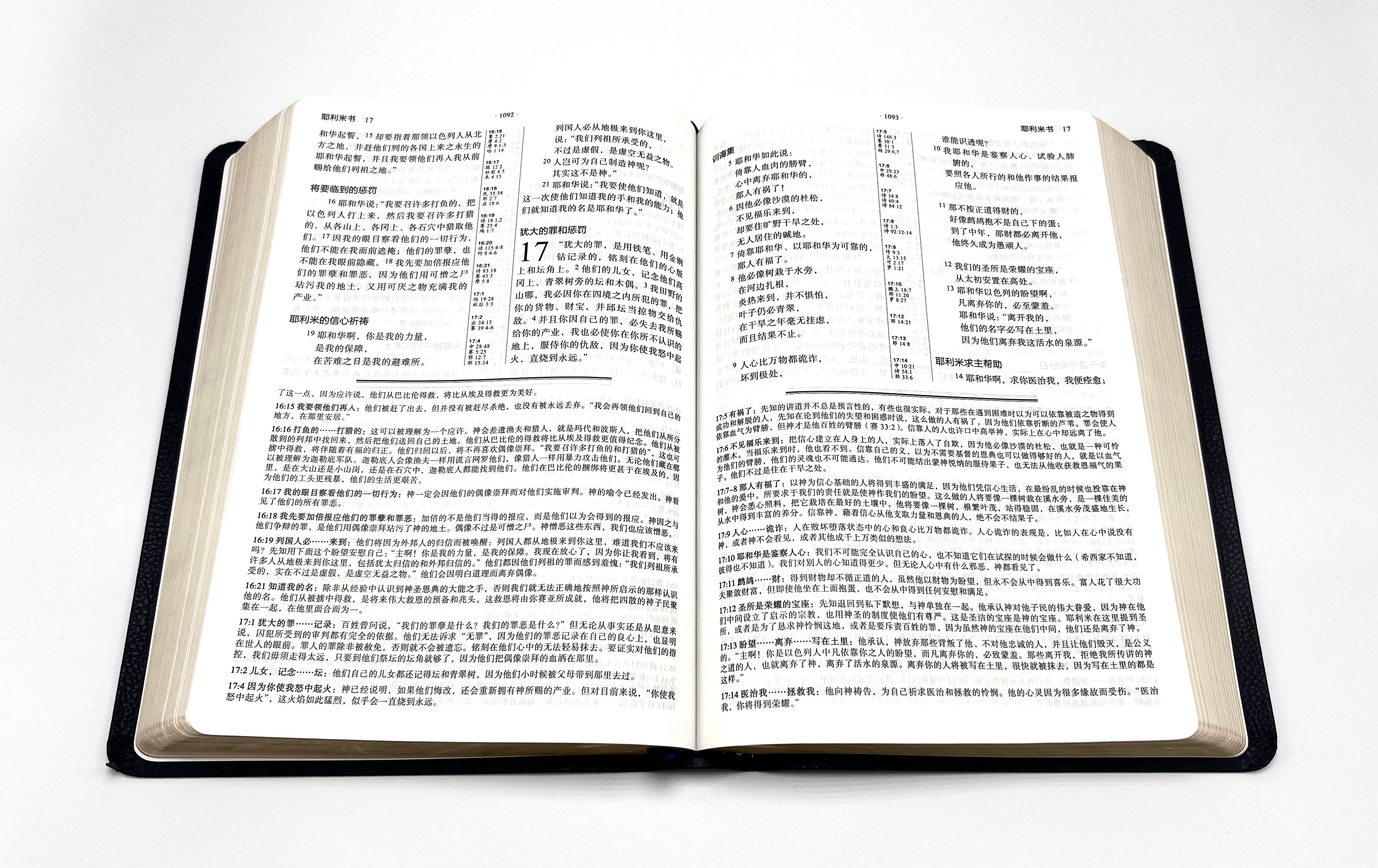 馬太亨利研讀版聖經-含經文串珠-真皮豪華版（限時免運費+8本/箱以上大特價$65) Matthew Henry Study Bible-Leather-Simp.-free shipping