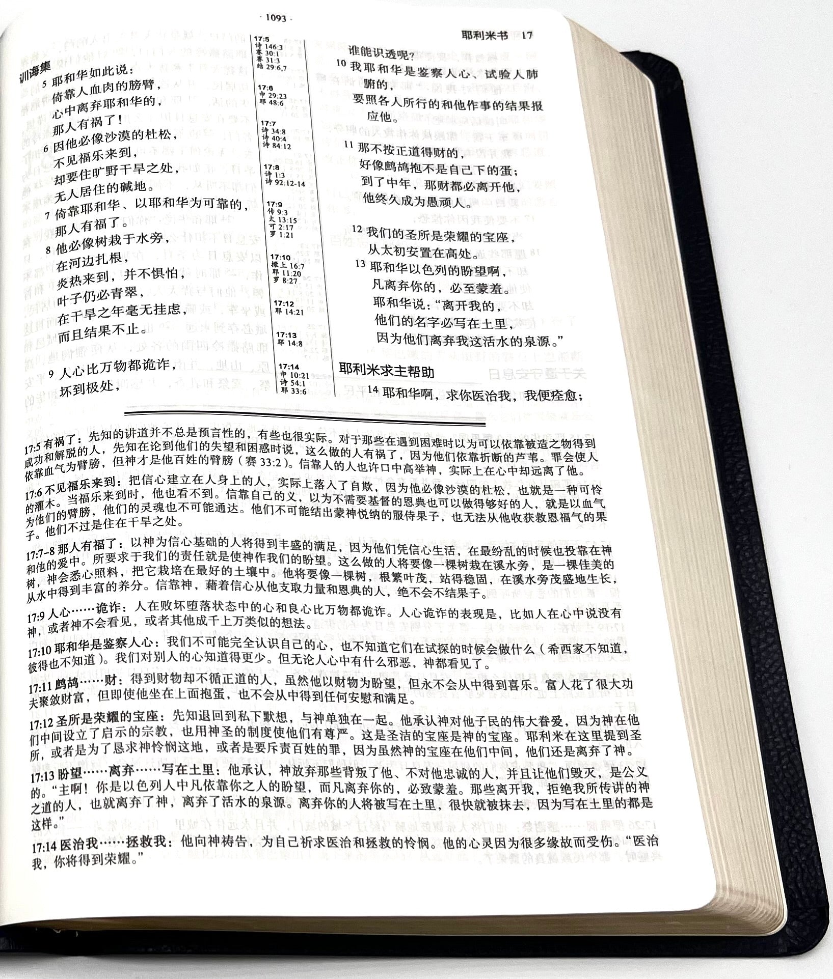 馬太亨利研讀版聖經-含經文串珠-真皮豪華版（限時免運費+8本/箱以上大特價$65) Matthew Henry Study Bible-Leather-Simp.-free shipping