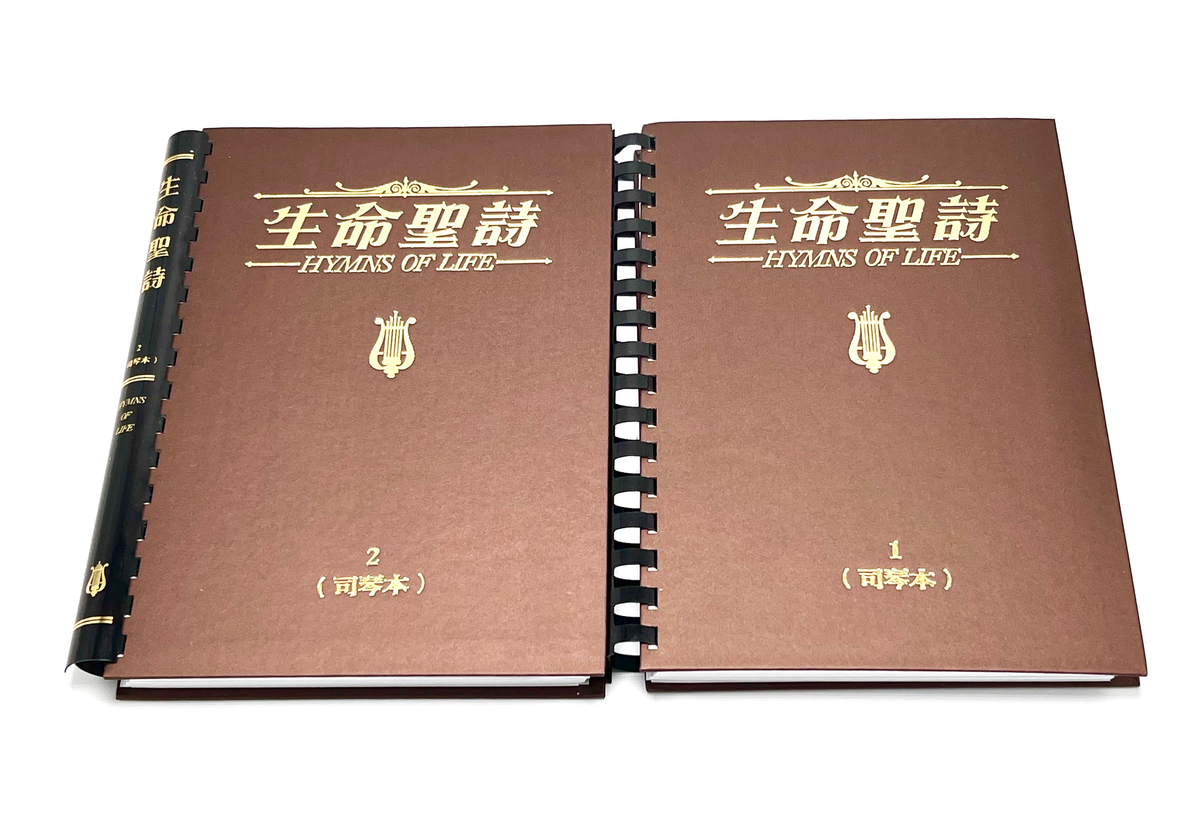 生命聖詩-司琴本-上下冊全套(限時免運費) Hymns of Life for Pianist one set of 2 Vols