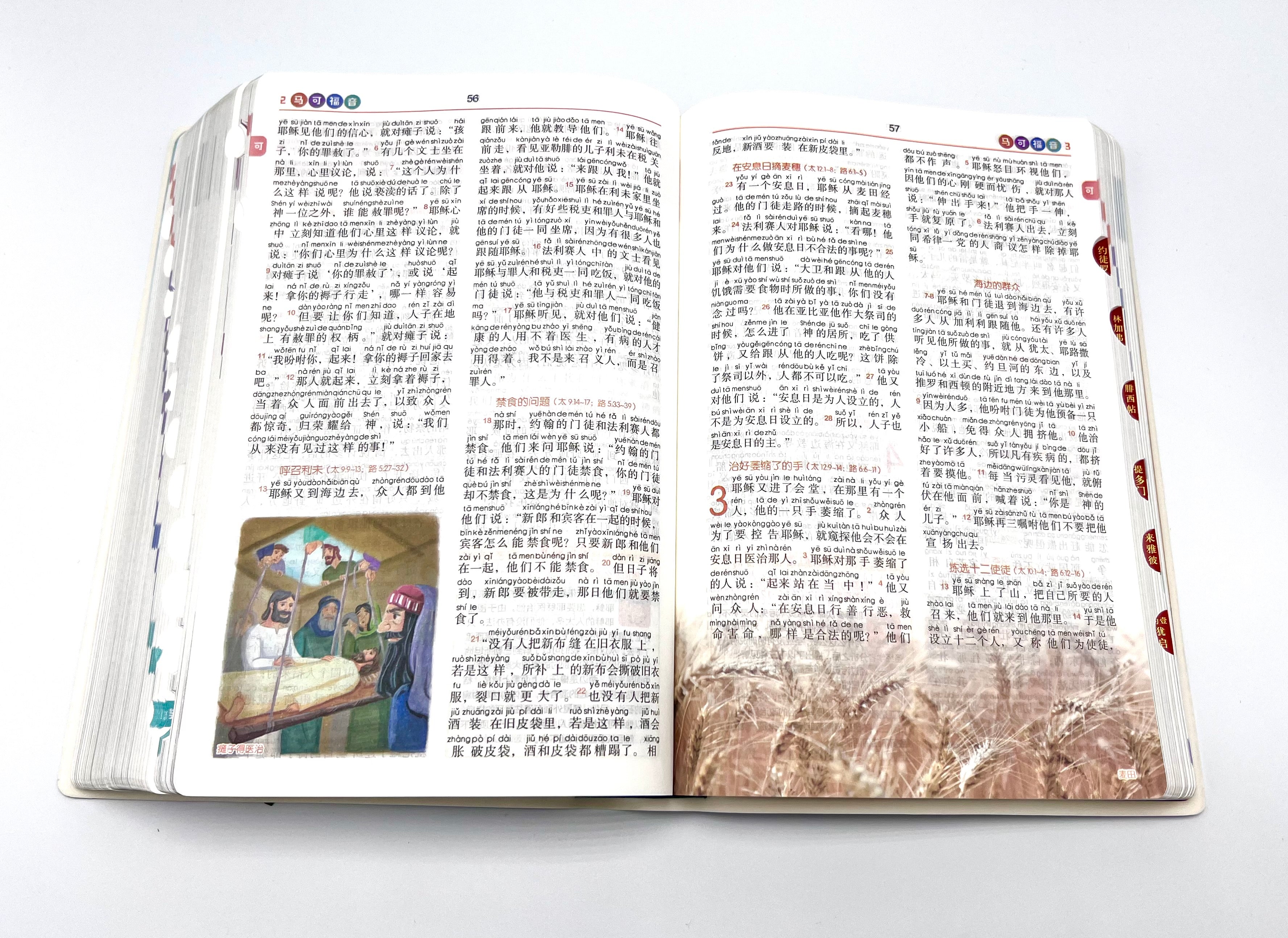 彩印拼音圣经-简体和合本修订版-新旧约全书-银边拇指索引（免运费延至1/5周一+10本以上特价$60) RCUV Pinyin Bible