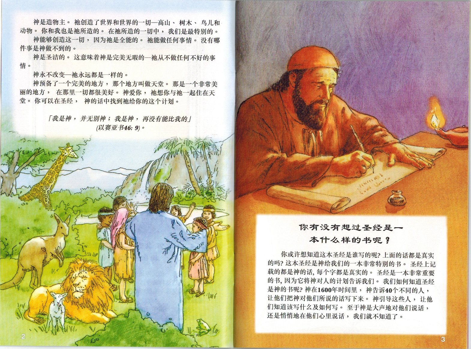 The Wonder Book