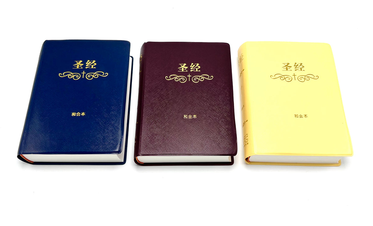 圣经-简体轻便本-胶面白边（新书限时免运费+3色任选10本以上每本特价$15，整箱22本)AFC CUV Small Size Simp